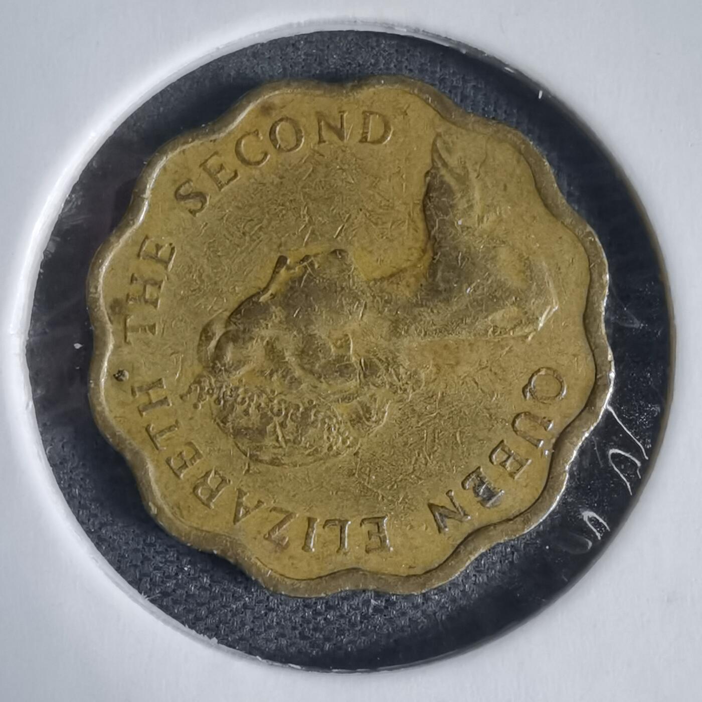 沼泽如烟--第937场