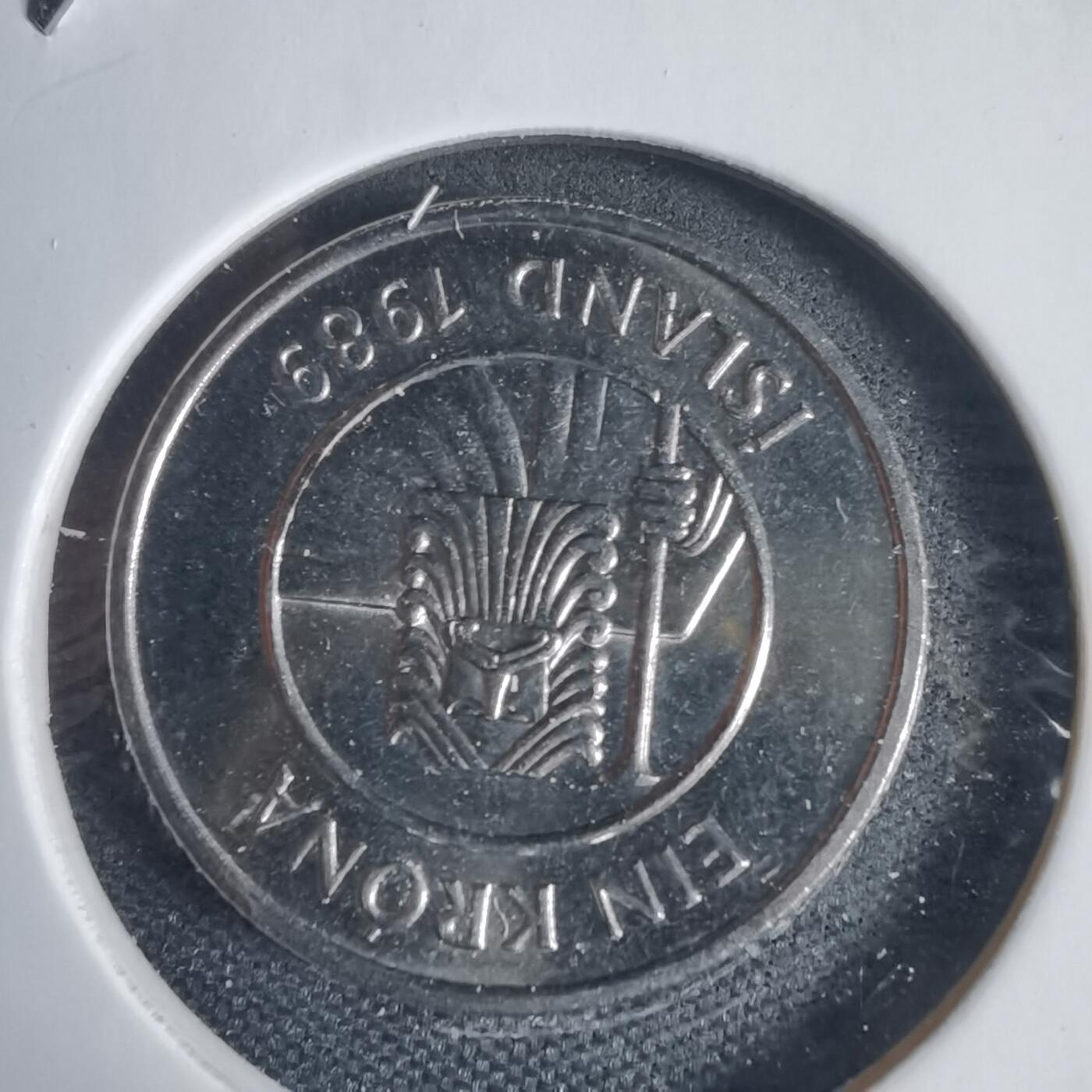 沼泽如烟--第937场