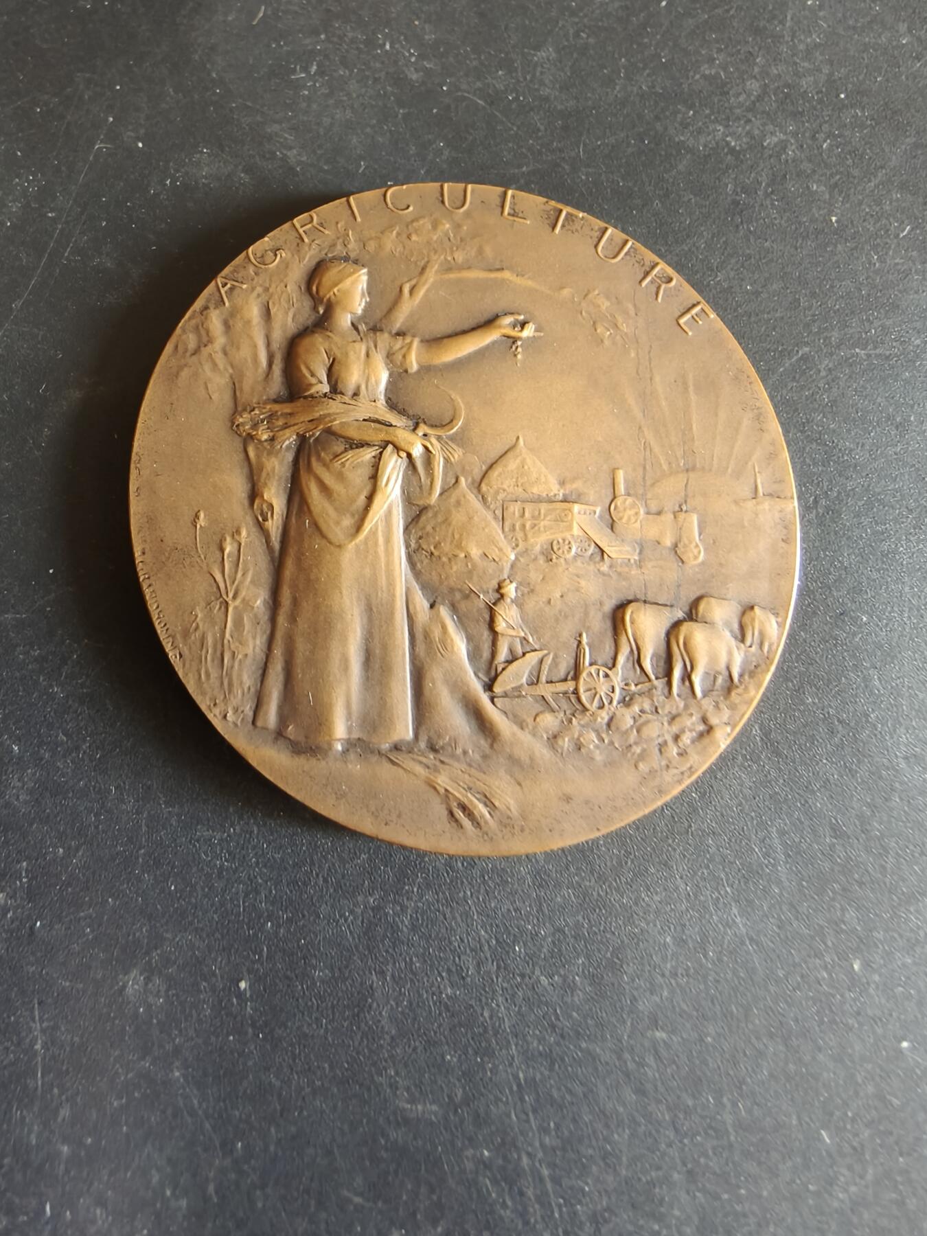 老王徽章第170期 法国圣朱利安昂日内瓦区农业博览会大铜章     原盒      大师家P. Grandhomme作品     直径50mm      重量51.7g