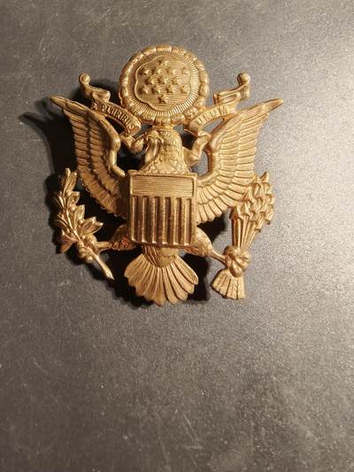 老王徽章第170期 - 美国陆军大檐帽帽徽