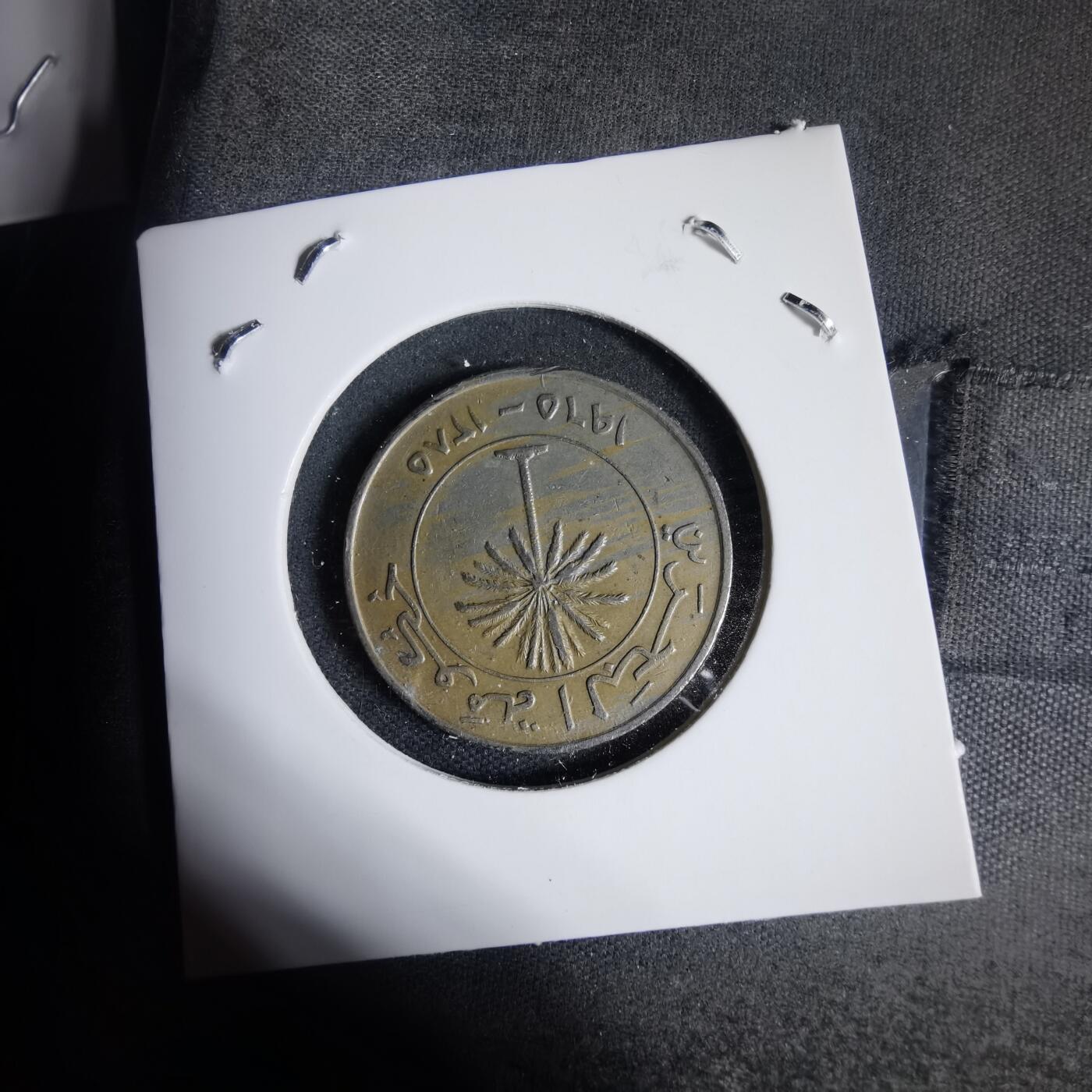 沼泽如烟--第937场