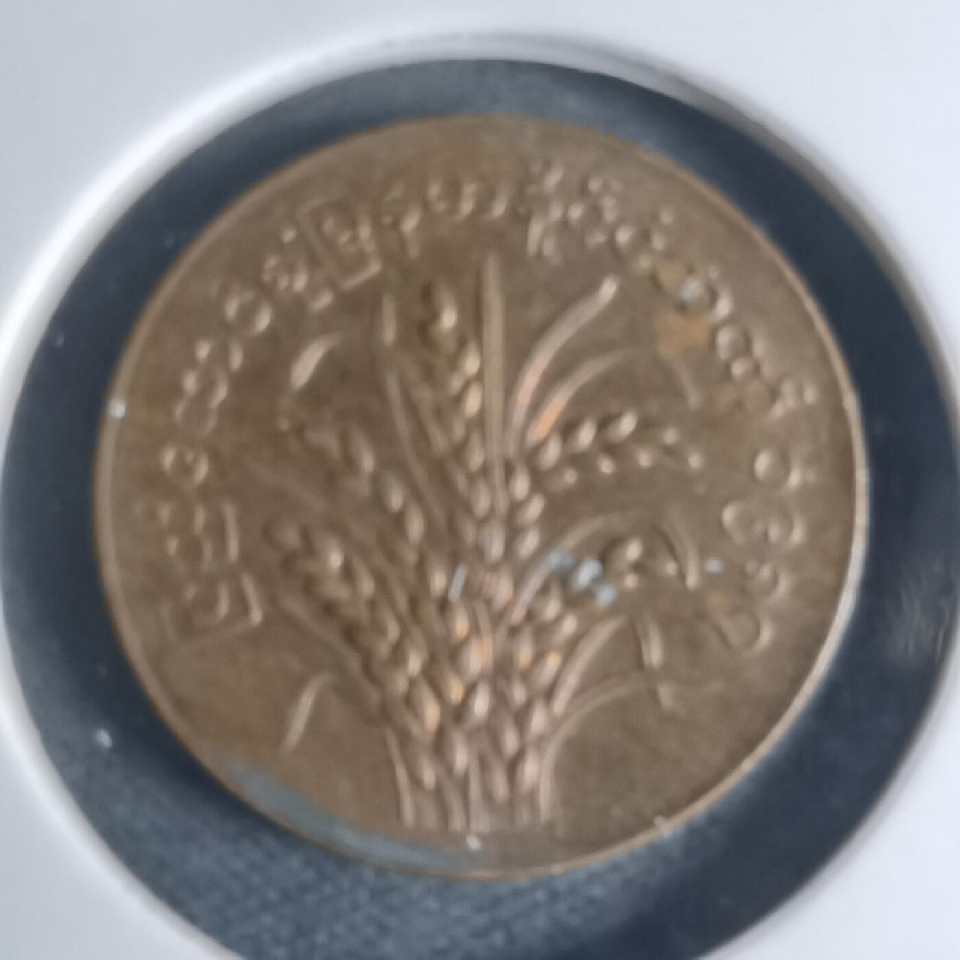 沼泽如烟--第939场