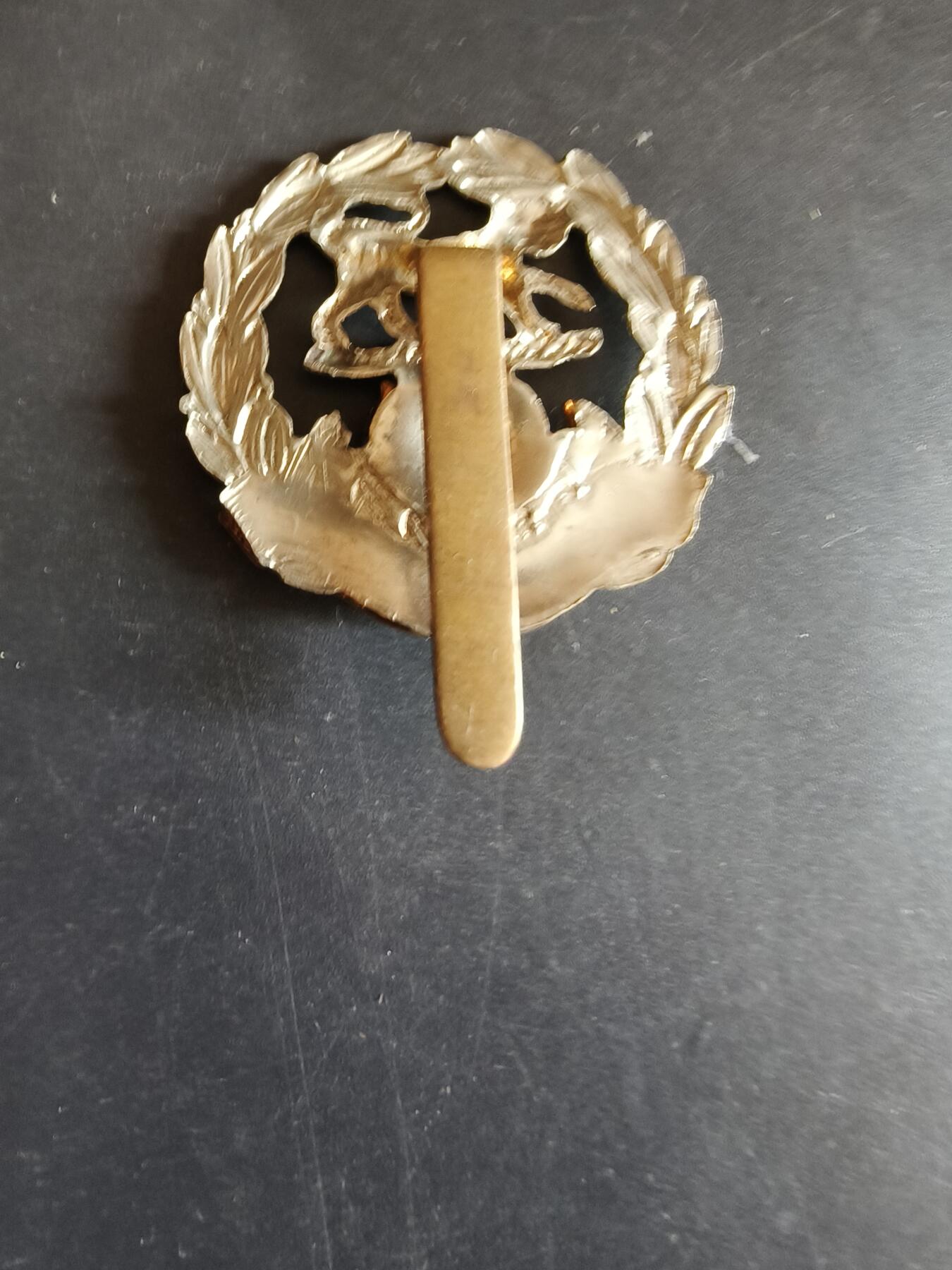 老王徽章第170期