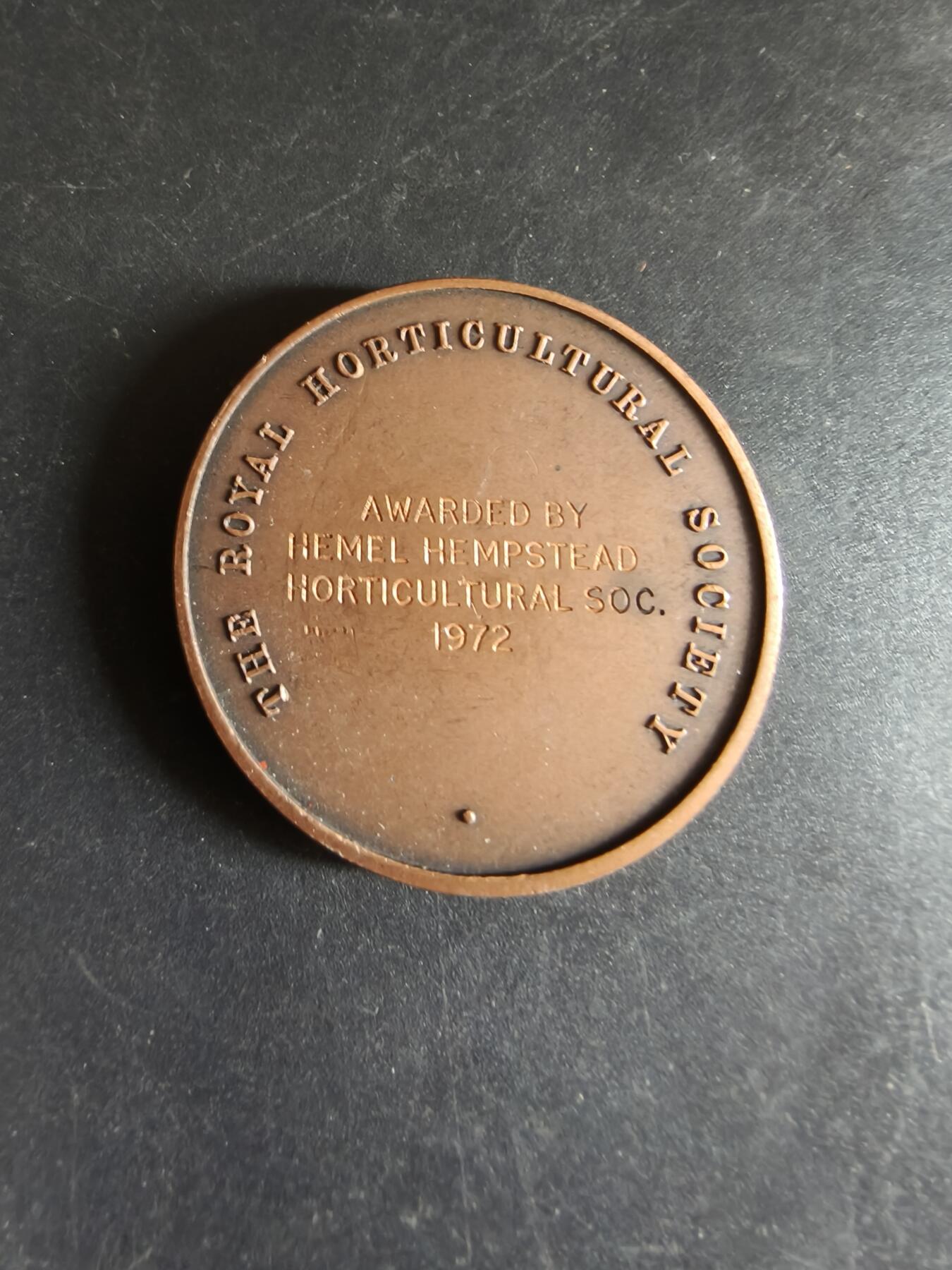 老王徽章第170期