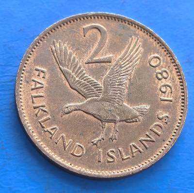 外国优质老铜币高银银币，周六九点倒数截拍，满百包邮，持续收拍 - 福克兰群岛1980年2便士铜币，正面伊丽莎白二世像，背刻飞禽及群岛名，见证英属领地货币，设计融入地域特色