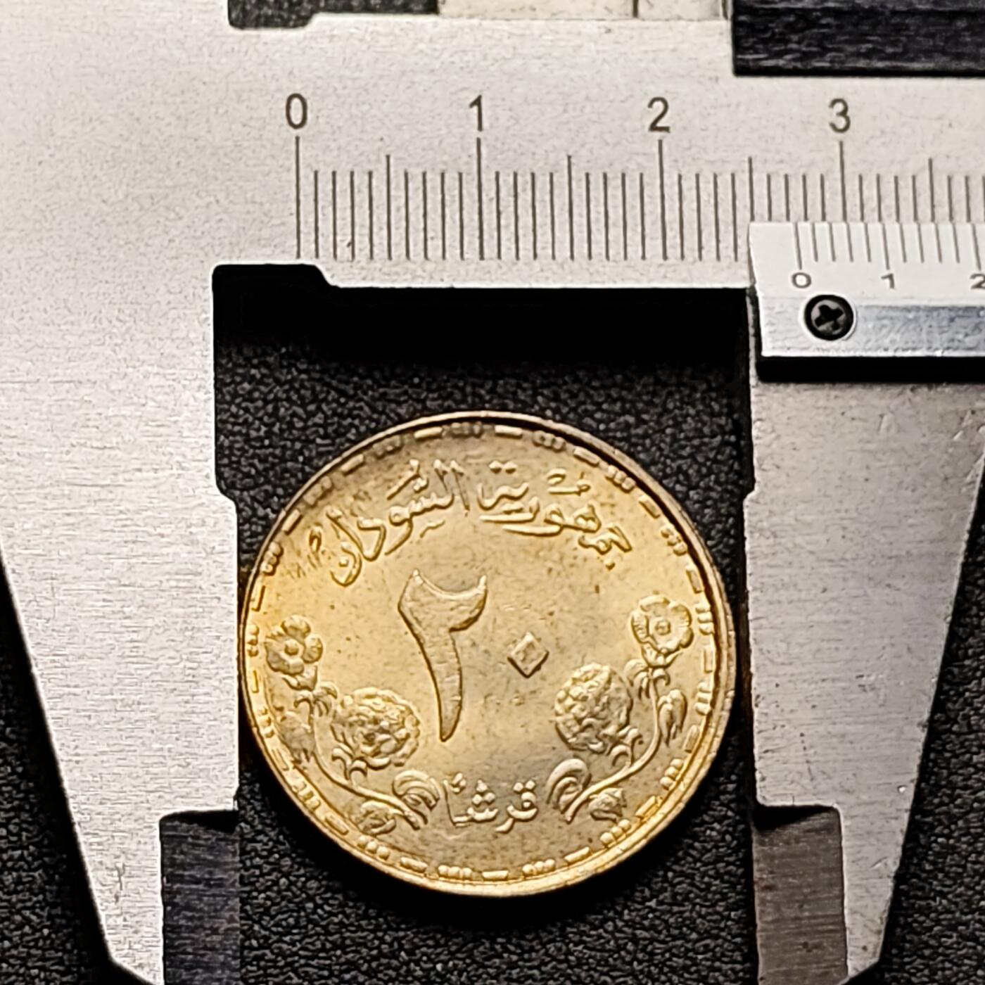 泉币菌-第151场-精品福利场 。