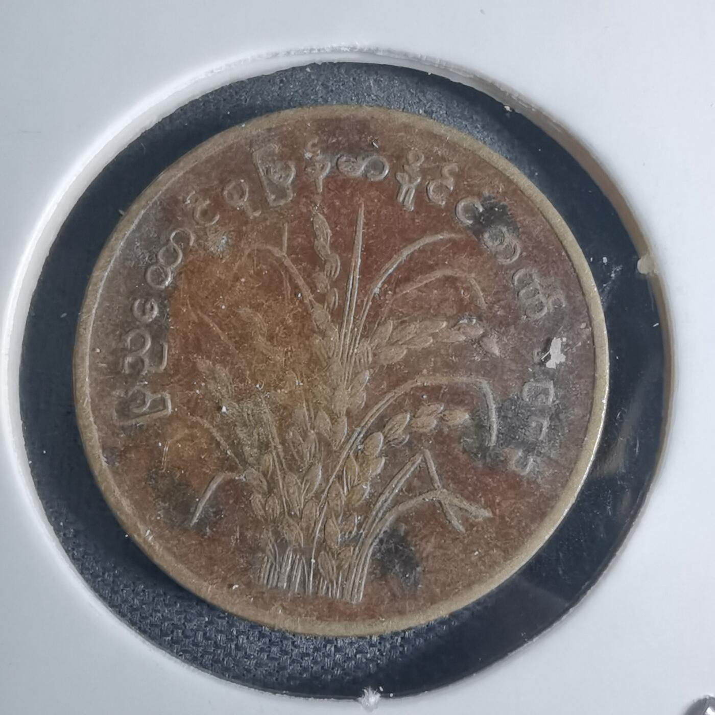 沼泽如烟--第939场