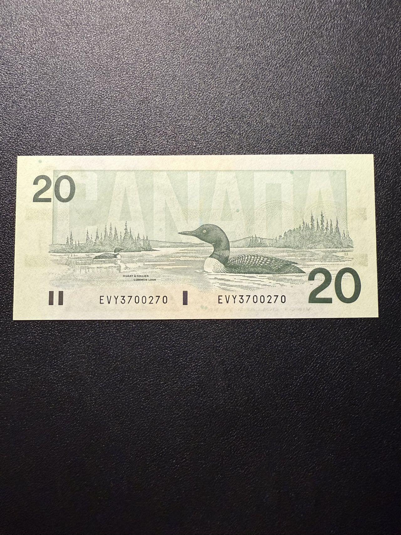 第14期 库存低价起拍 加拿大 鸟版20 全新unc 尾270