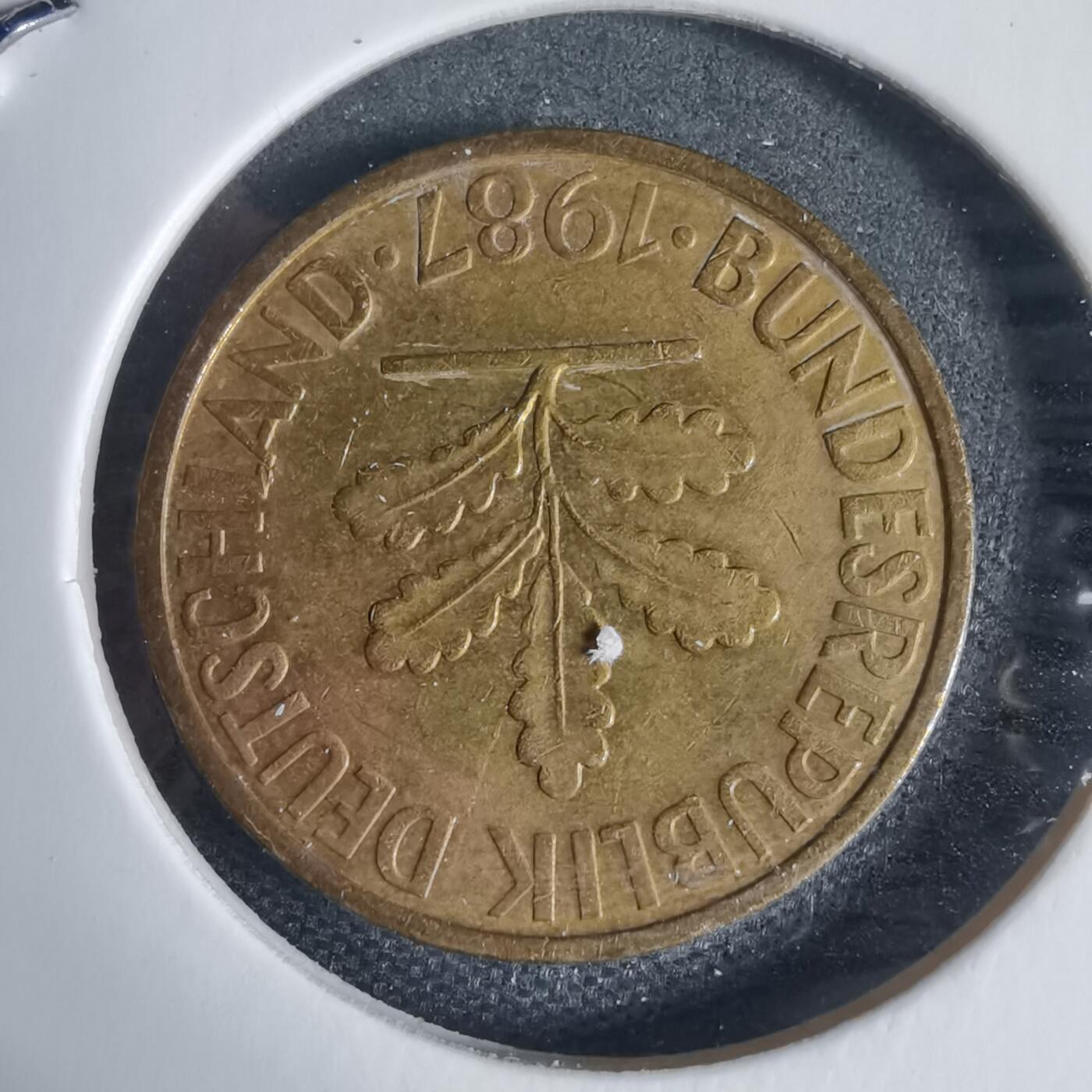 沼泽如烟--第937场