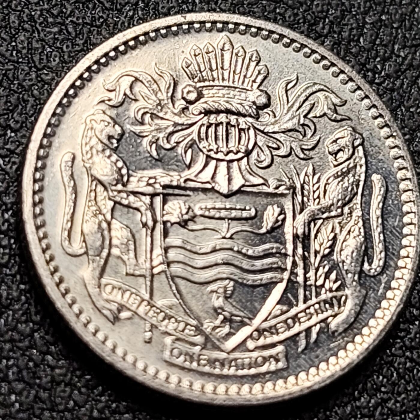 泉币菌-第151场-精品福利场 。