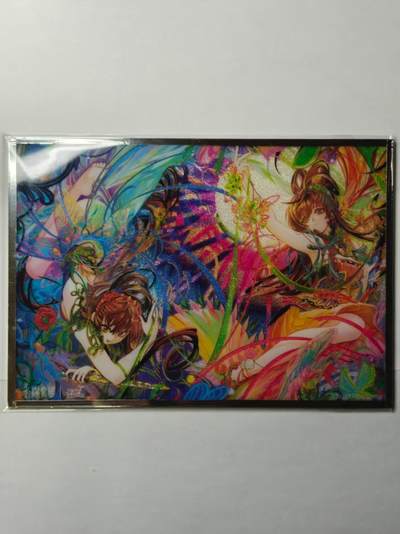 龙虎卡牌-六八场（无佣金，周六结拍，欢迎送拍） - 色纸 卡游三国