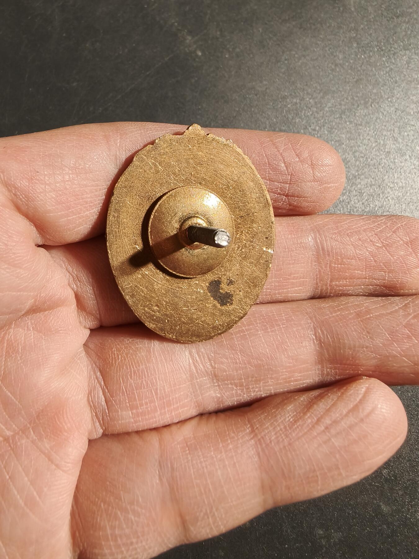 老王徽章第170期