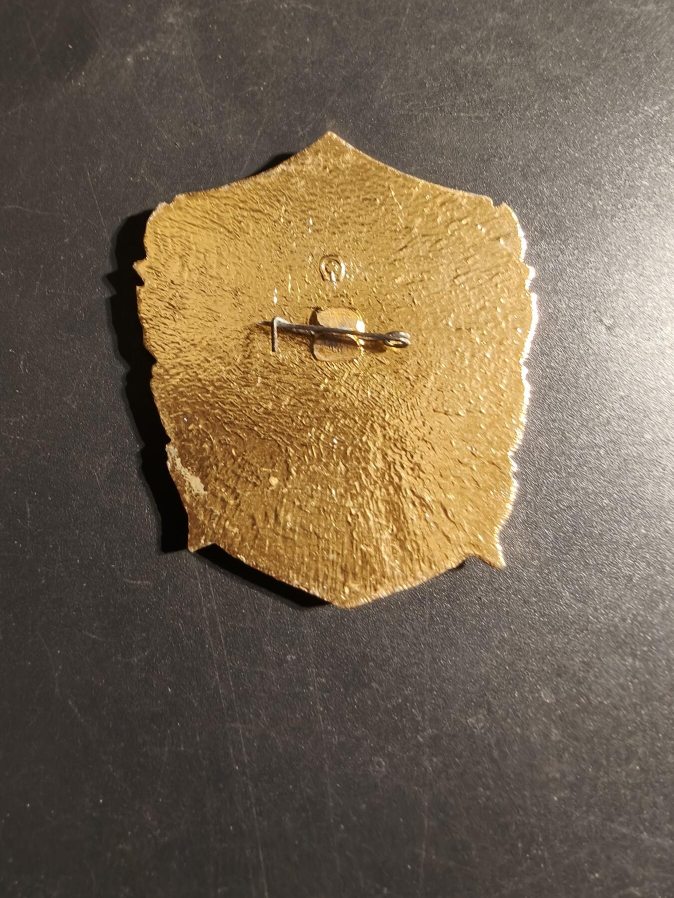 老王徽章第170期