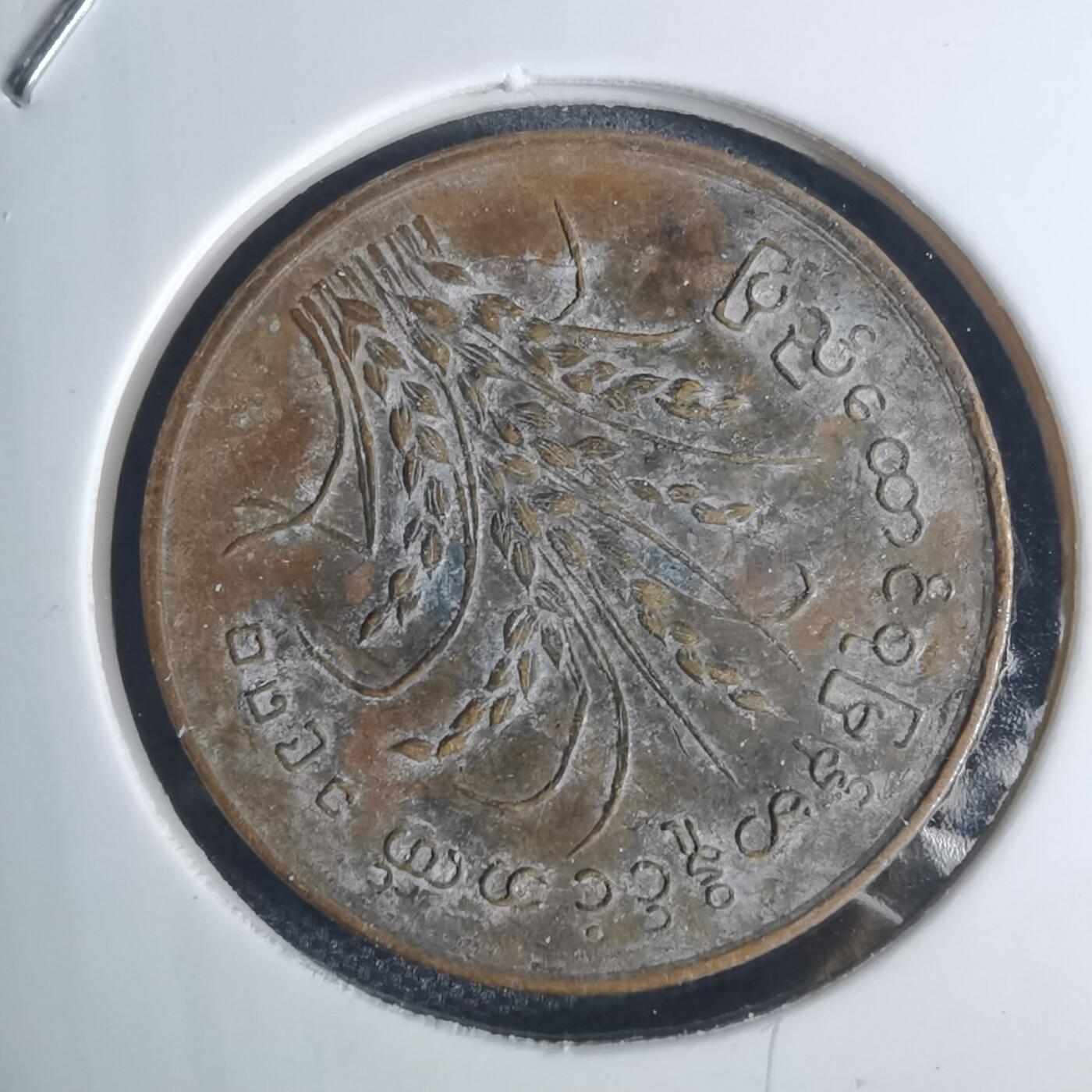 沼泽如烟--第939场 缅甸