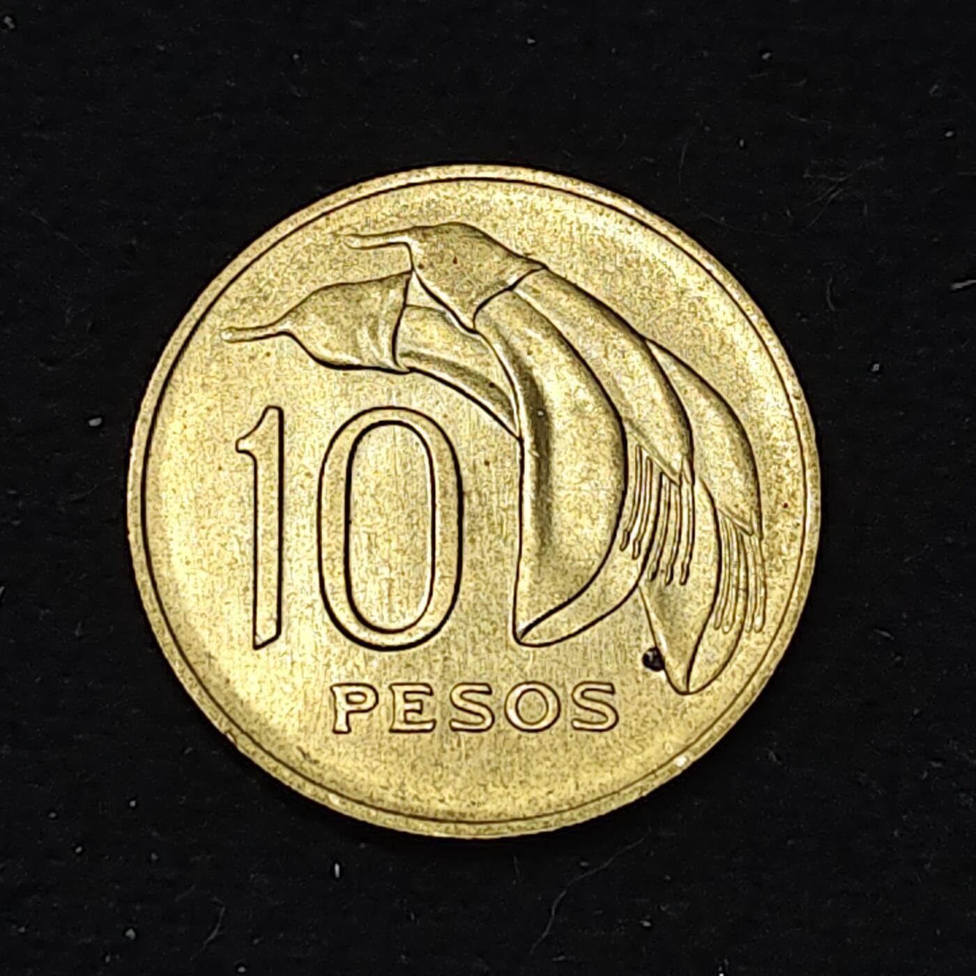 【全场包邮】纯粹捡漏拍486场（免费代拍第23场）