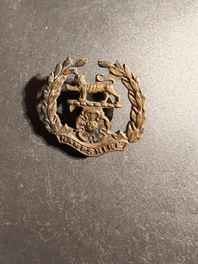 老王徽章第170期 - 英国汉普郡步兵团证章