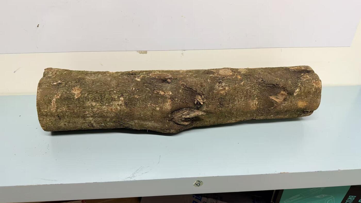 零元拍： S1-1 金丝楠 原木 风水柱 横财（材）带皮， 尺寸：60/11.5/13.5CM。抛光后金灿灿满香。最后一图为成品效果。