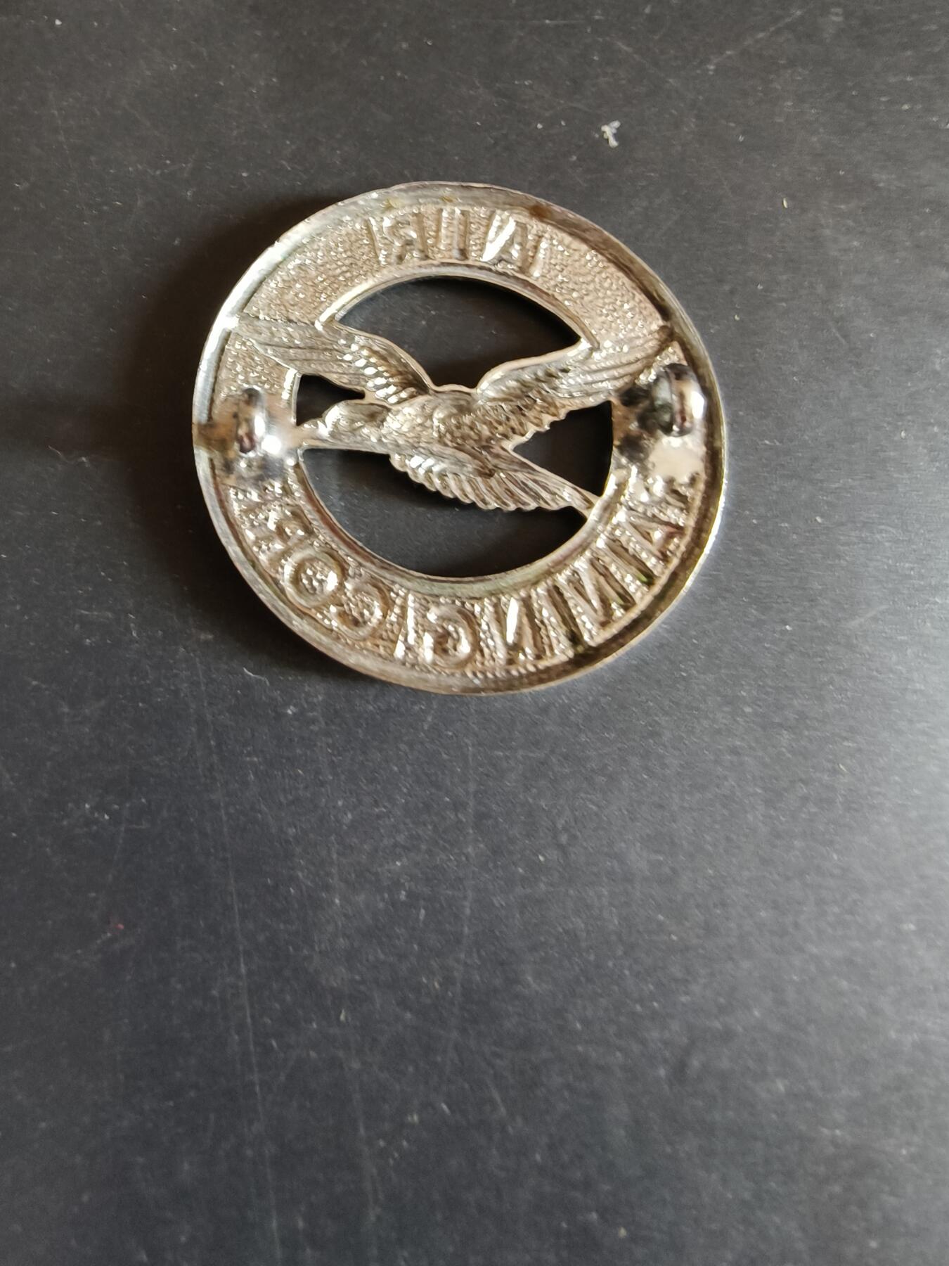 老王徽章第170期