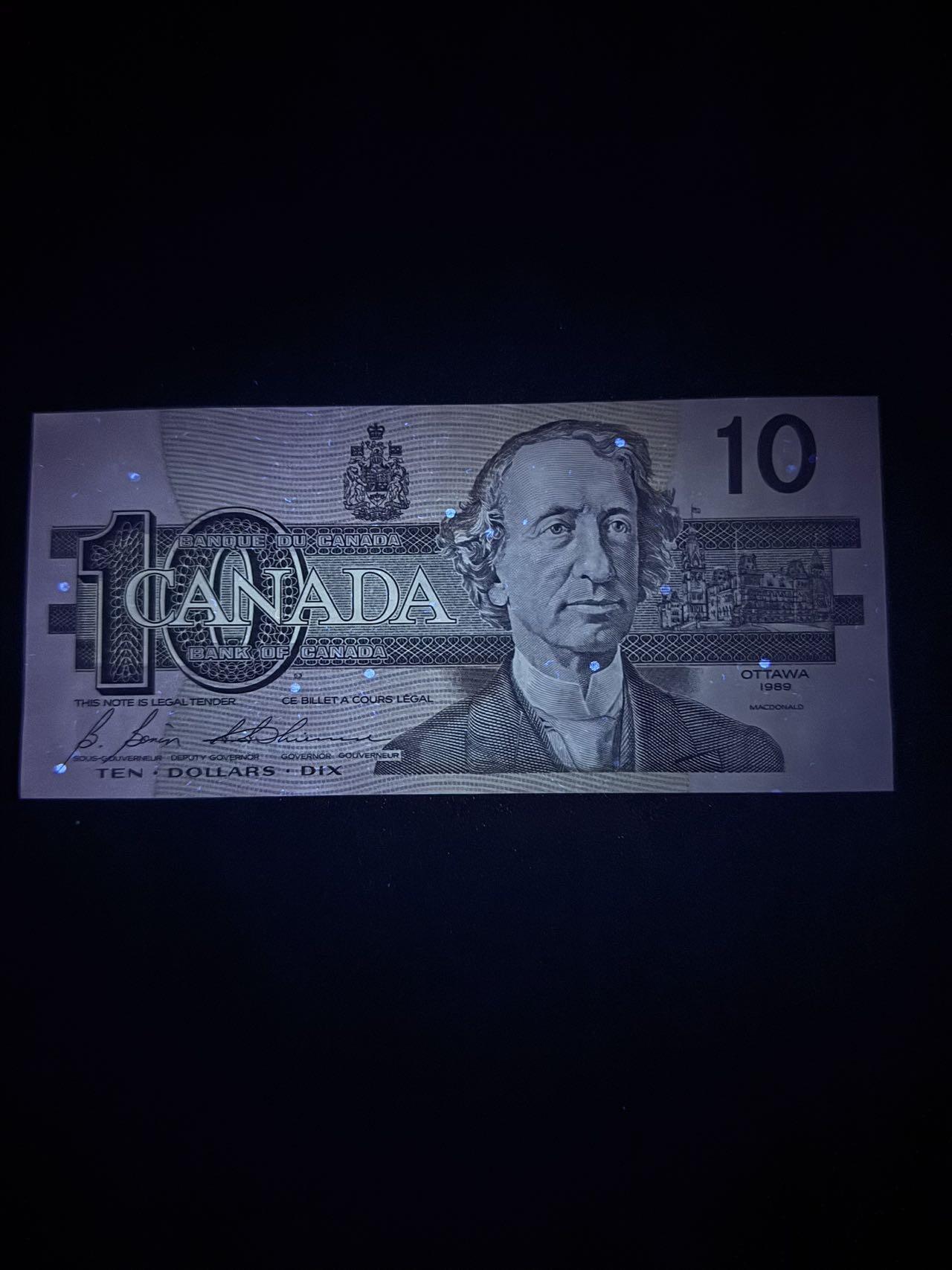 第14期 库存低价起拍 加拿大 鸟版10 全新unc 无47