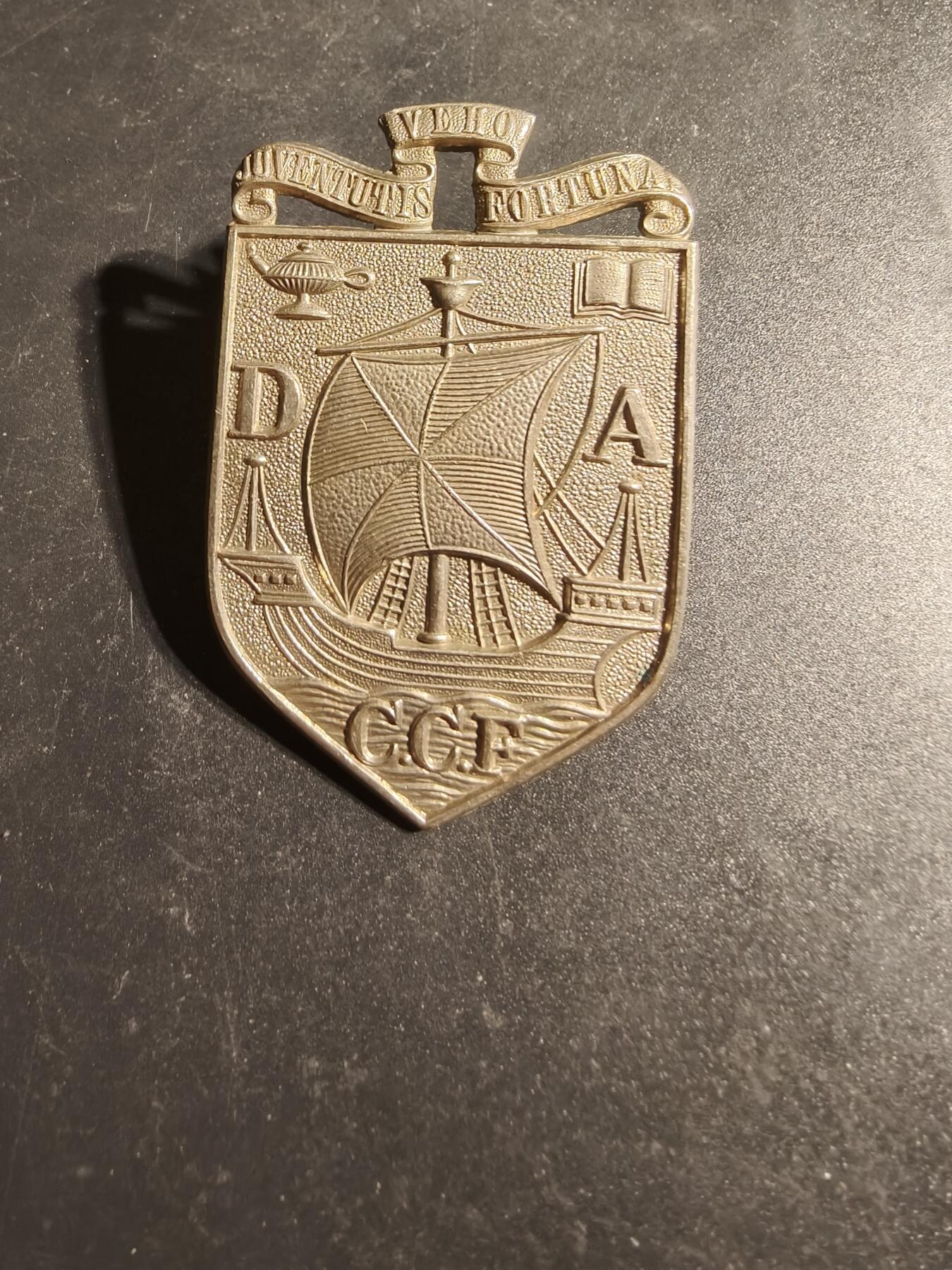 老王徽章第170期