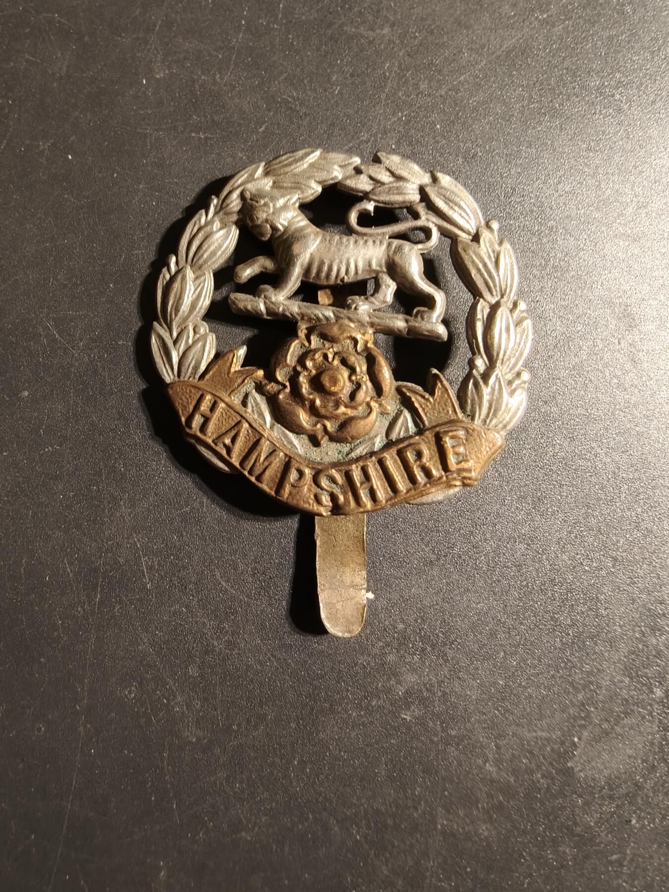 老王徽章第170期