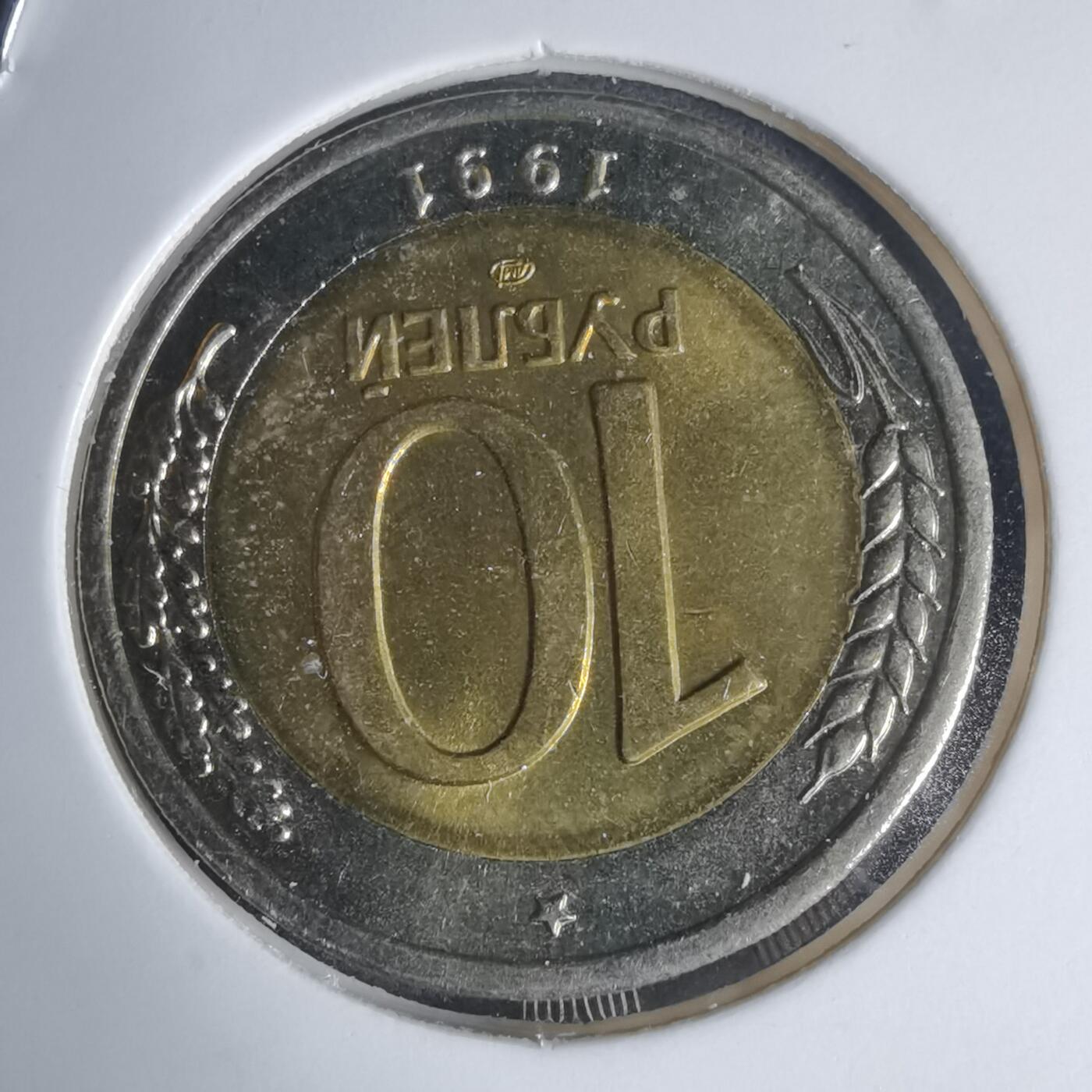 沼泽如烟--第939场