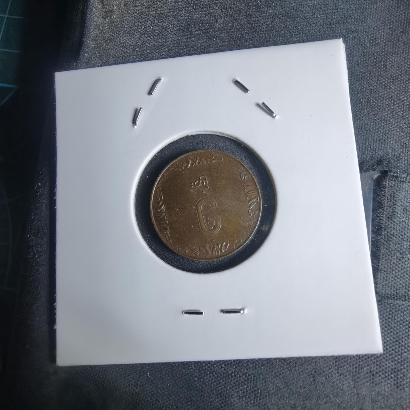 沼泽如烟--第939场