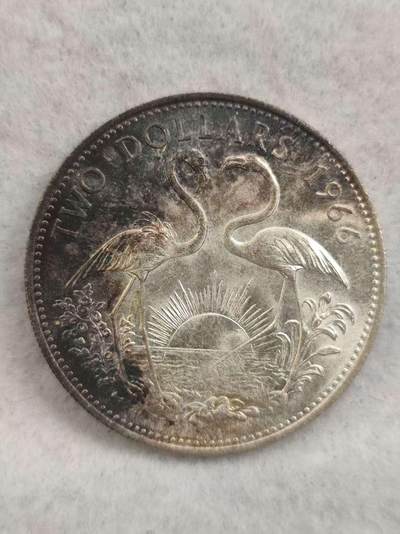 G&W世界散币，银币处理专场（第39场） - 巴哈马1966年2元  银币