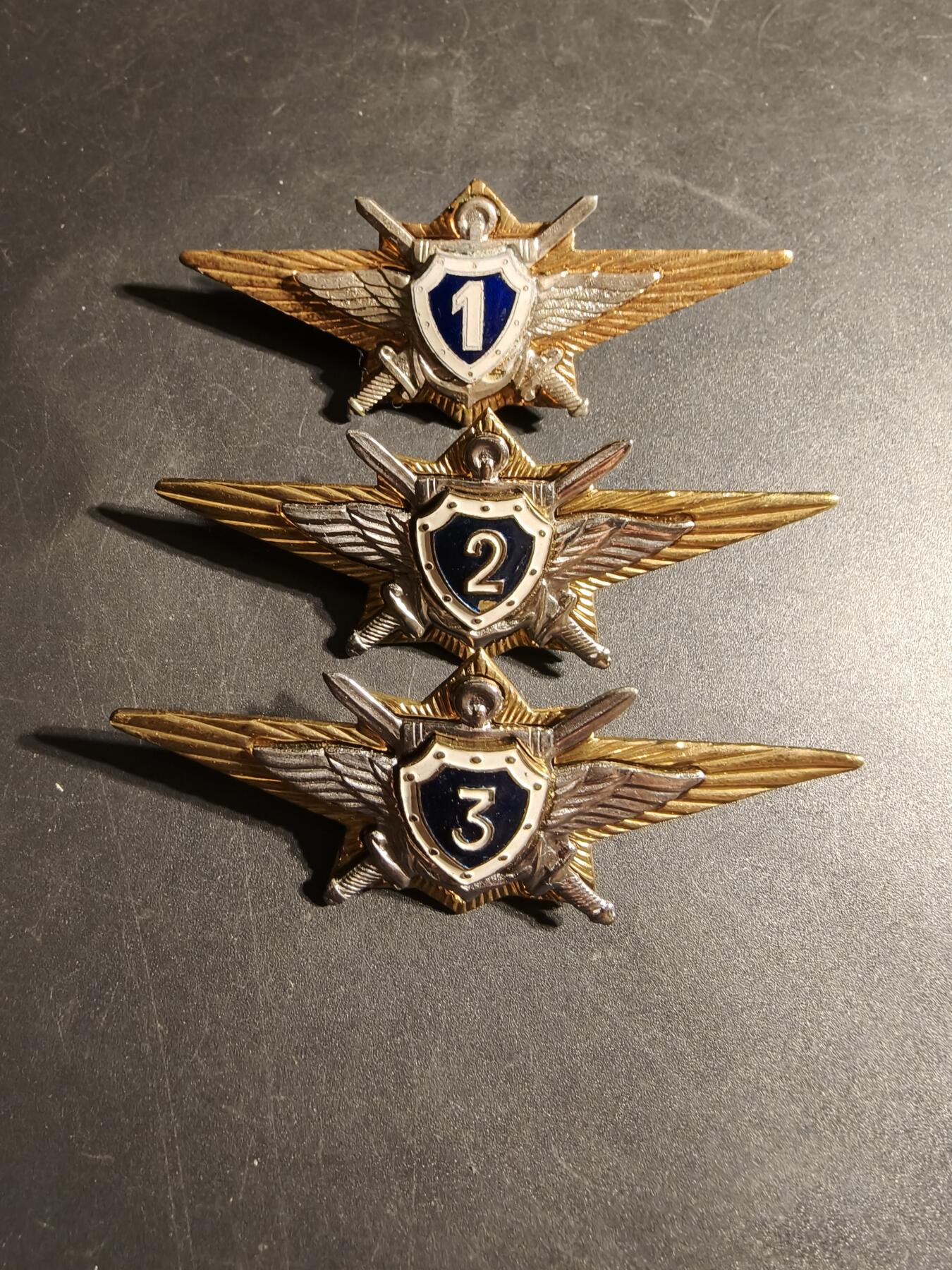 老王徽章第170期