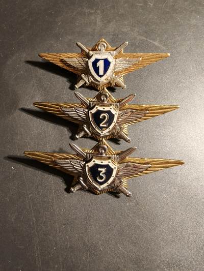 老王徽章第170期 - 俄罗斯空军123级领航员技能章一组