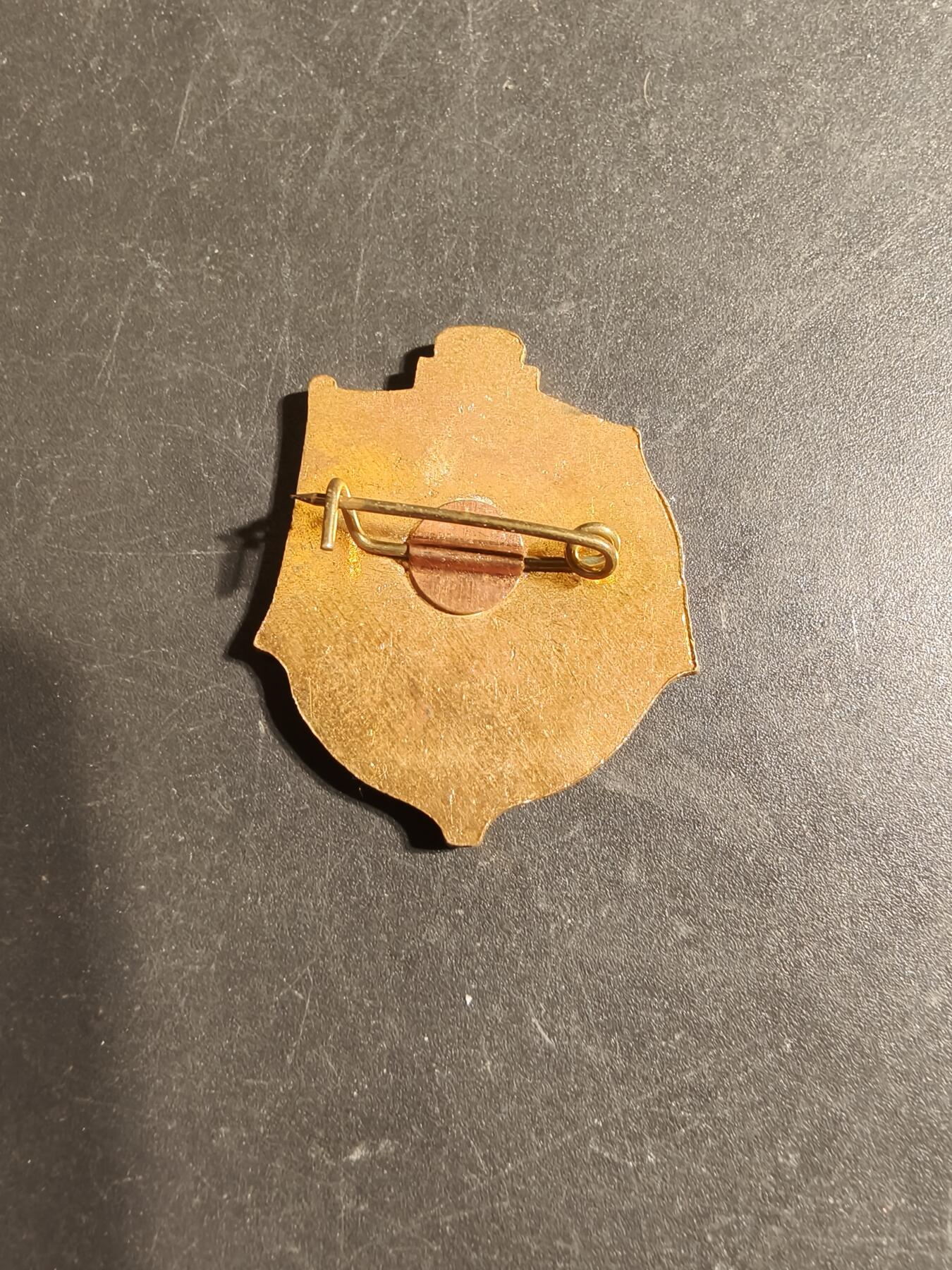 老王徽章第170期