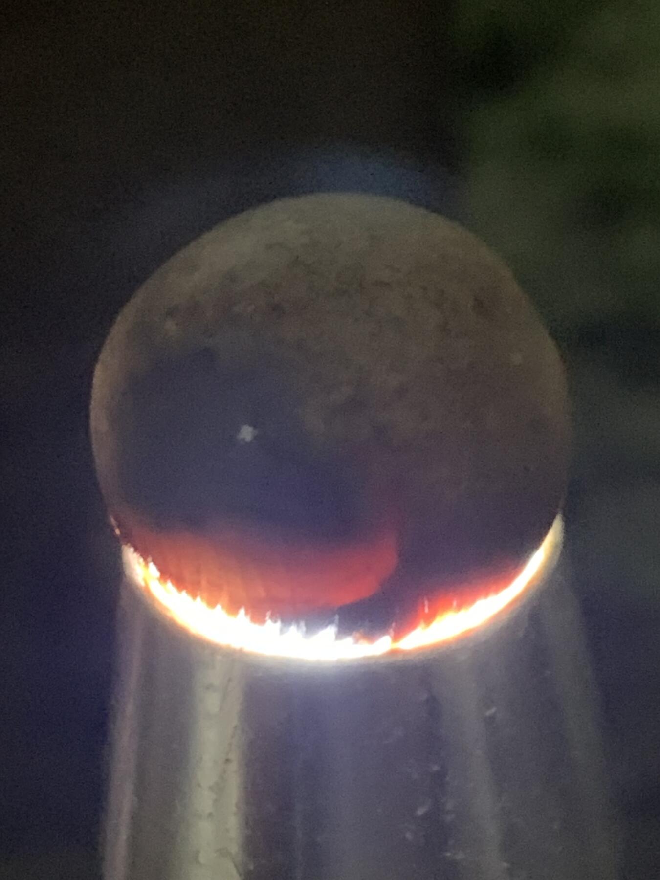 精美亚光草花纹战国红玛瑙手工俏色巧雕大叶有成珠一个，