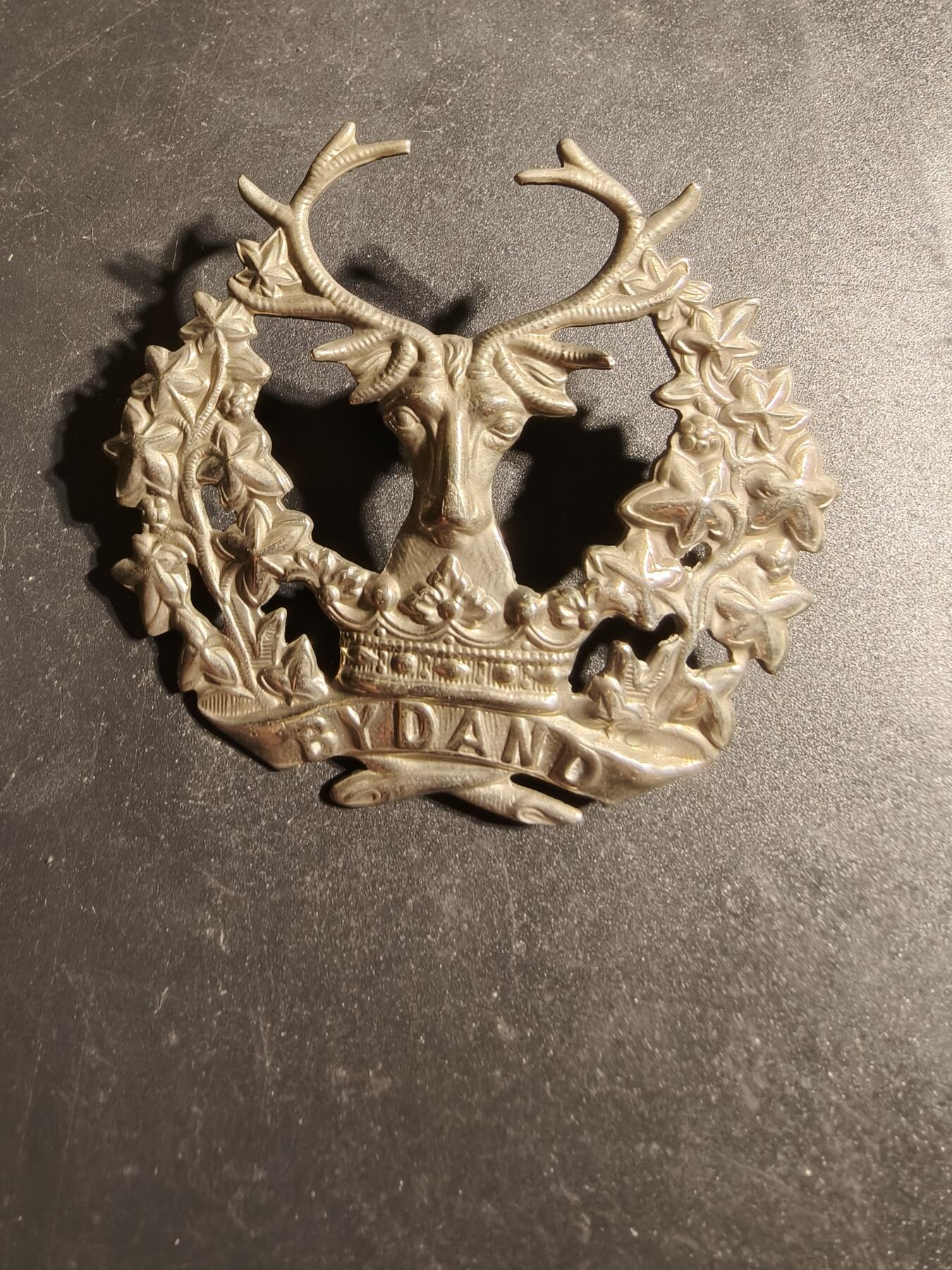 老王徽章第170期