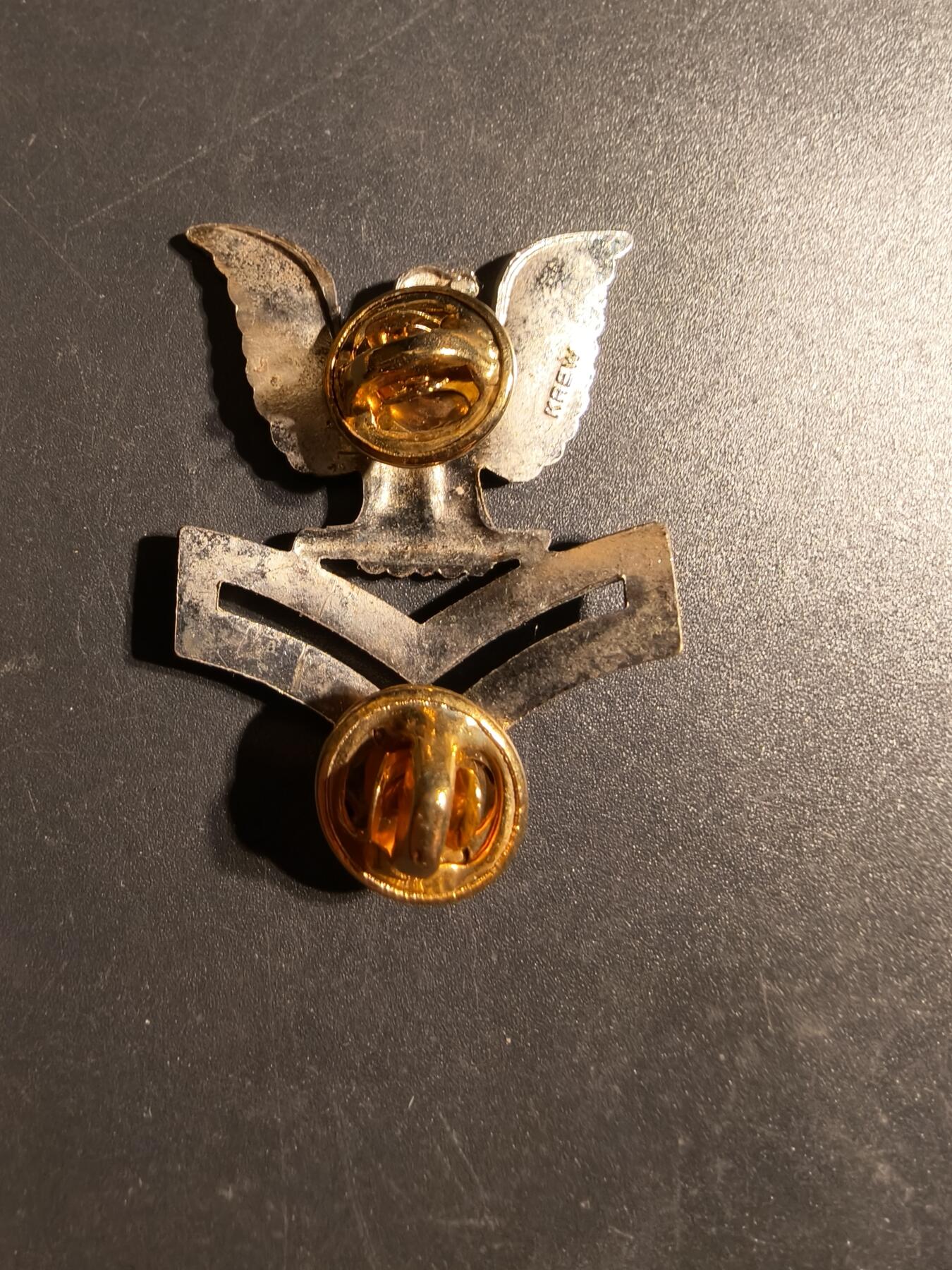 老王徽章第170期