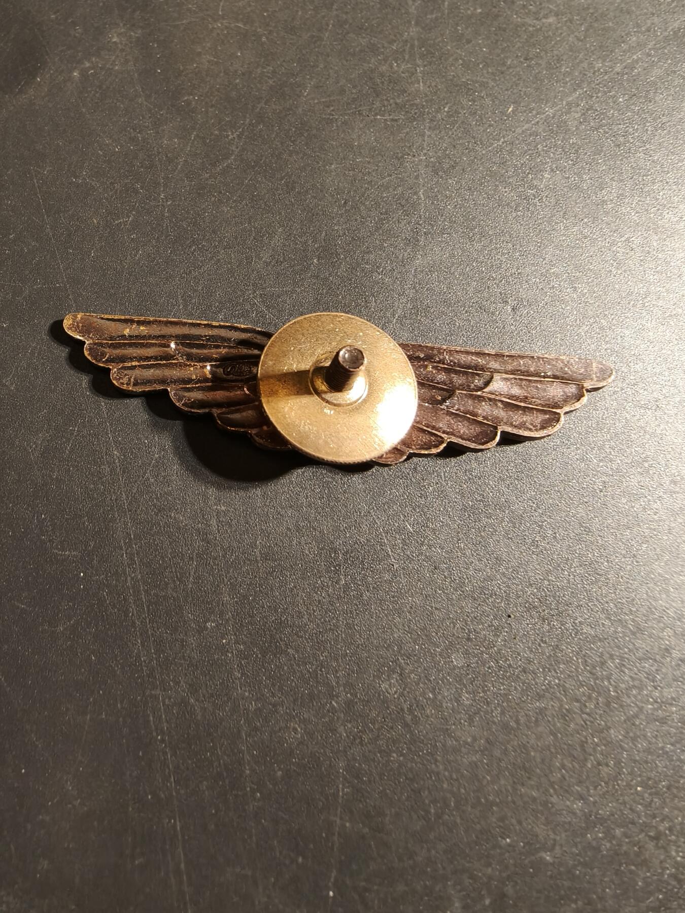 老王徽章第170期