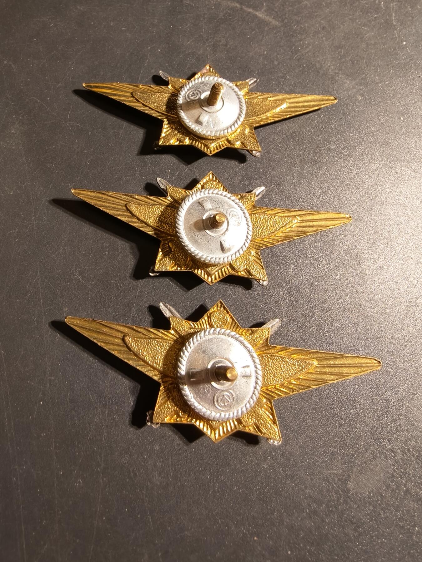 老王徽章第170期