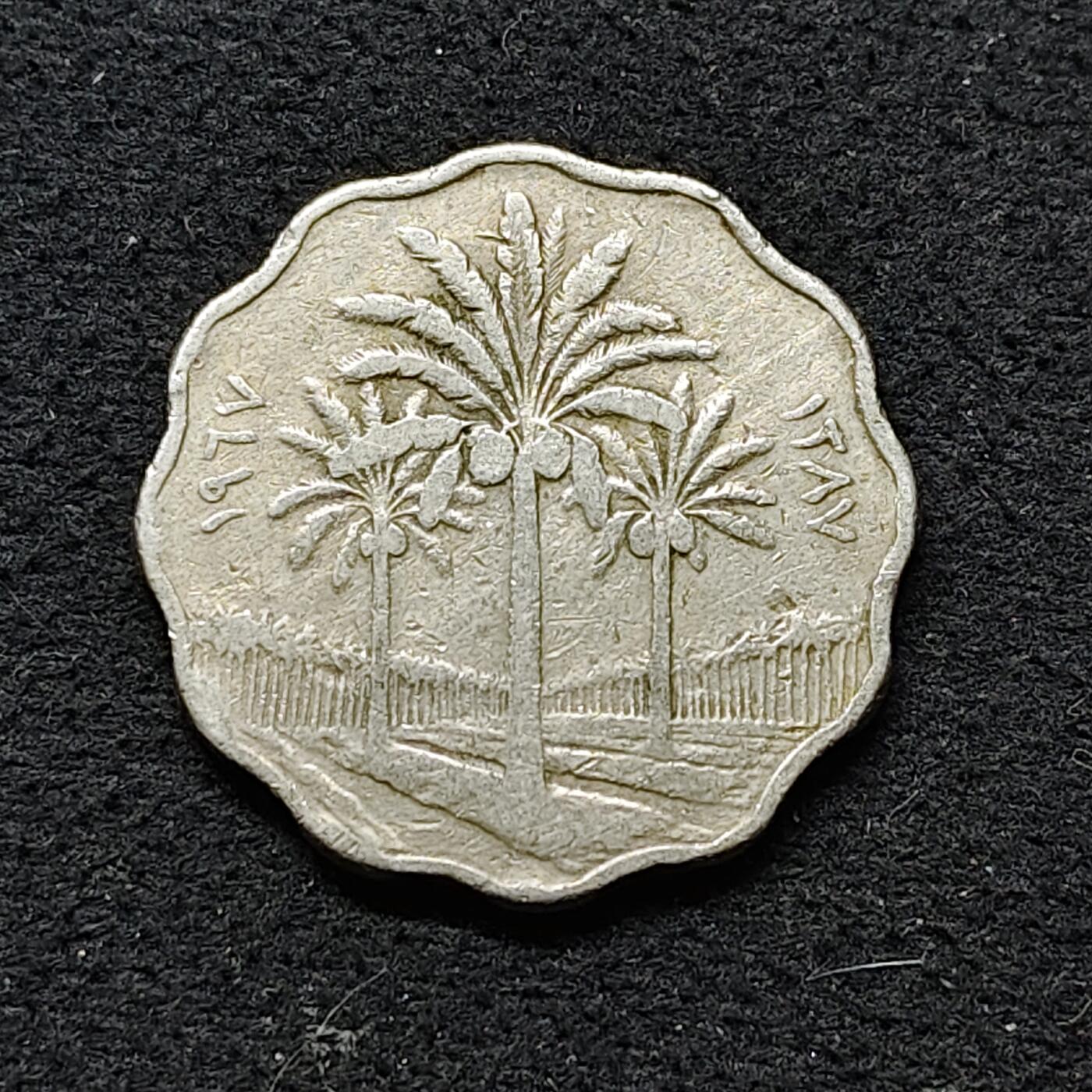 【全场包邮】纯粹捡漏拍486场（免费代拍第23场）