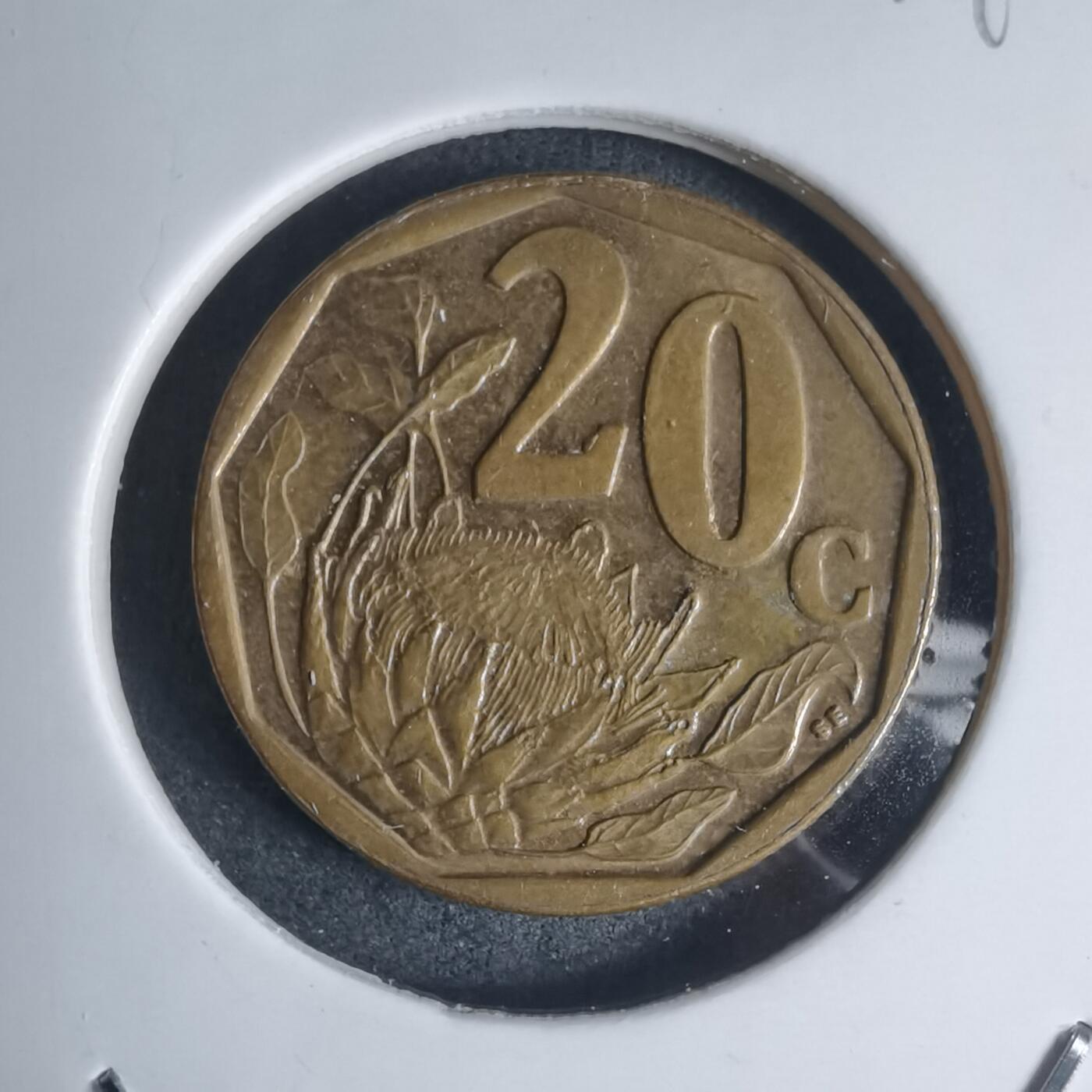 沼泽如烟--第939场 南非2009年20分