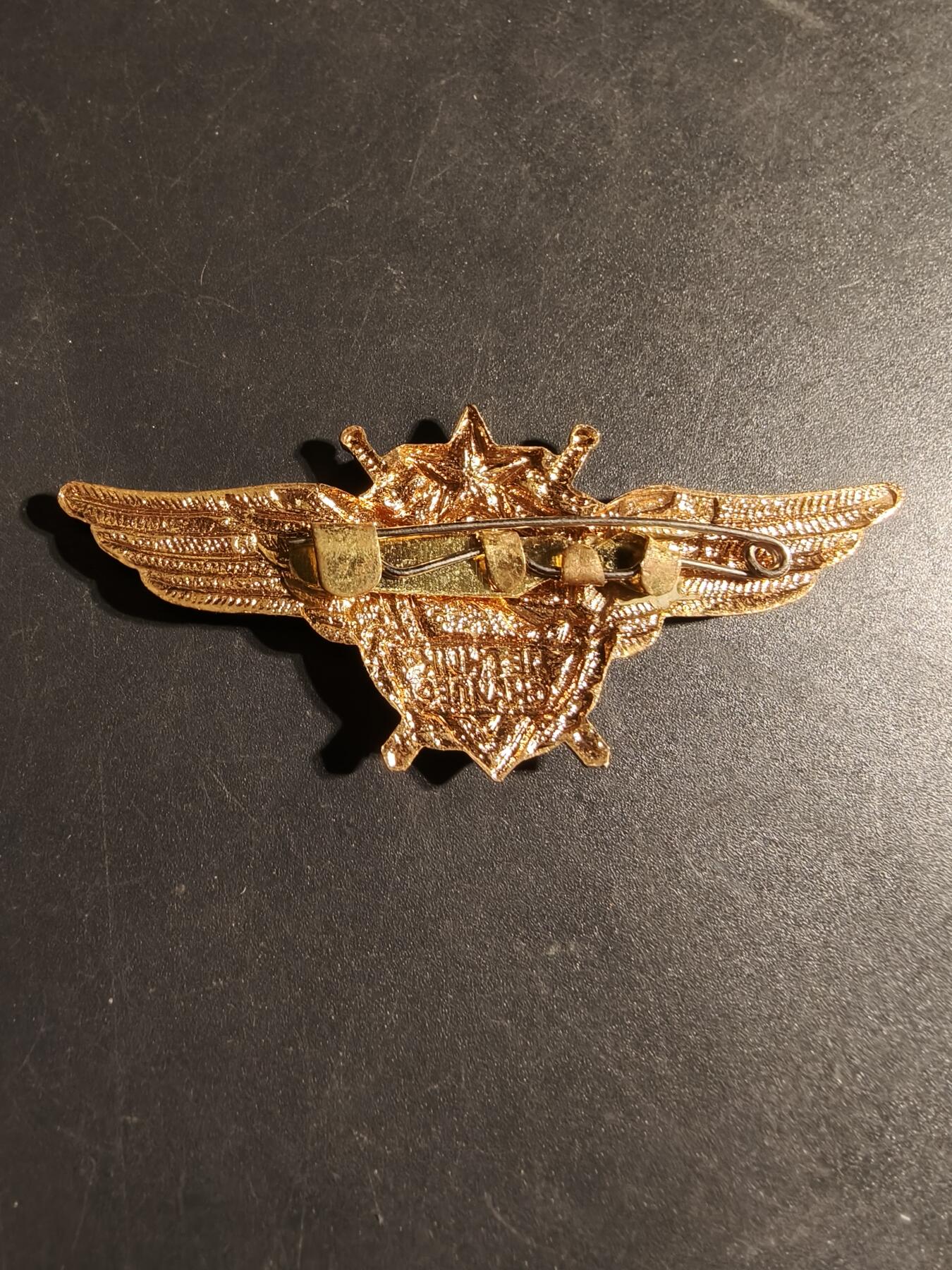 老王徽章第170期