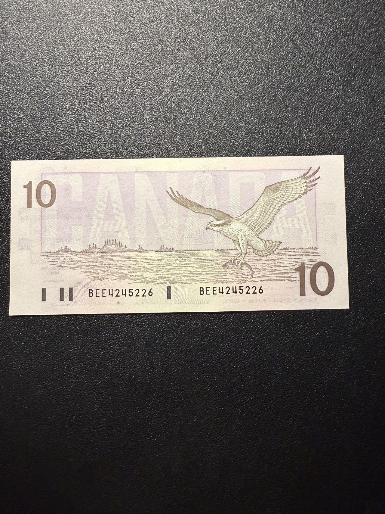 第14期 库存低价起拍 加拿大 鸟版10 全新unc 