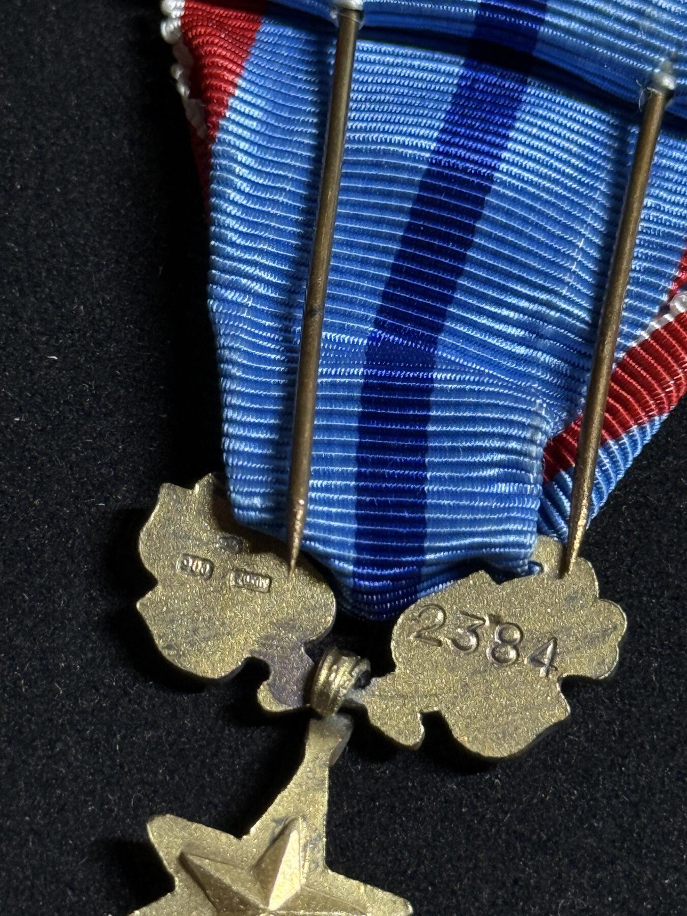 欢庆元旦！戎马世界章牌大赏第109期元旦大拍