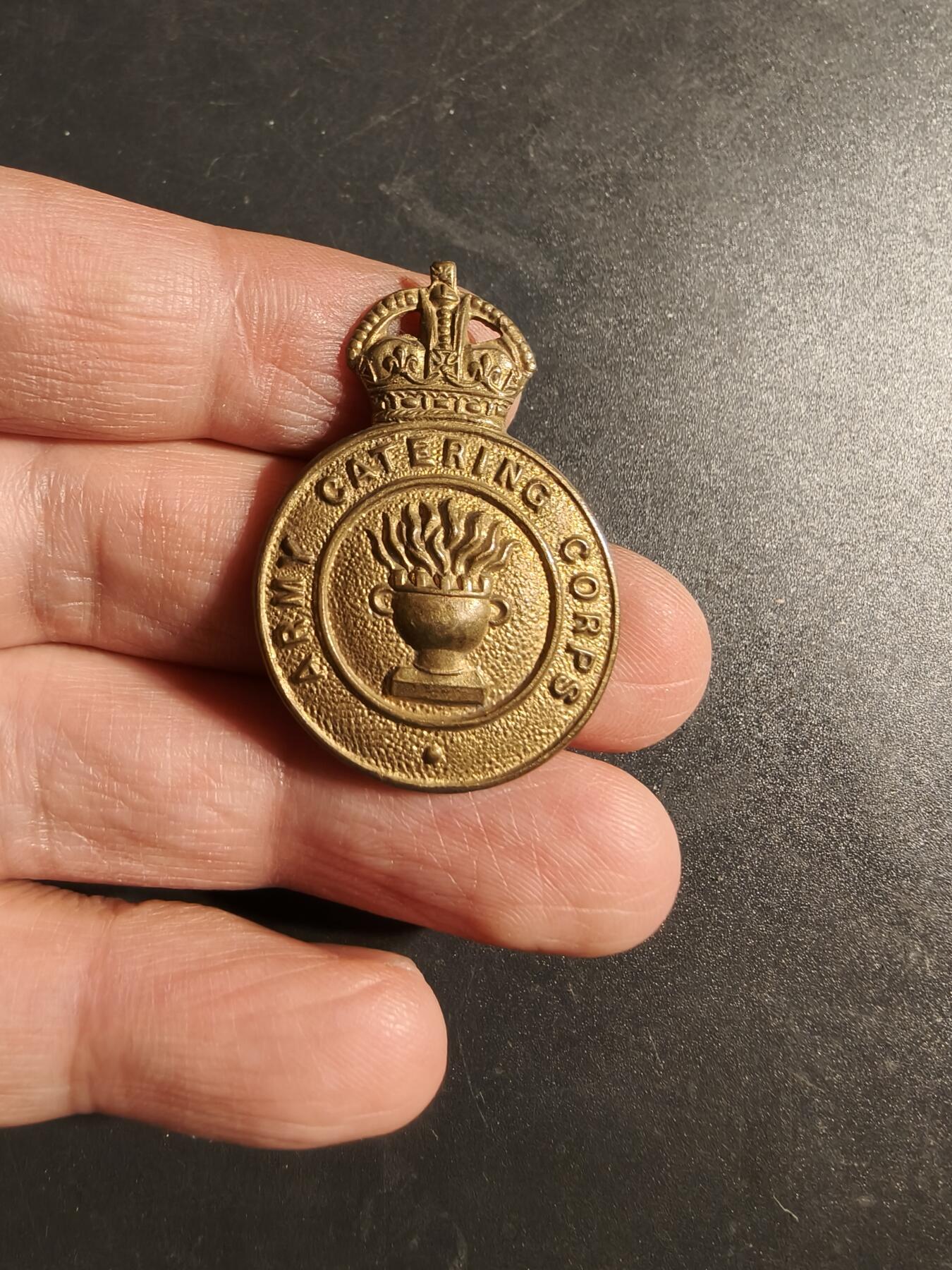 老王徽章第170期