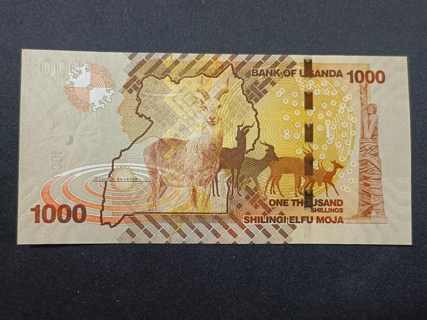 【游宝拍卖】乙巳蛇年99期 年末福尾场