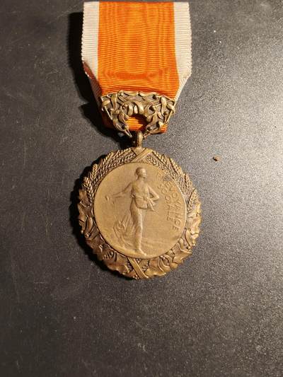 老王徽章第170期 - 法国铜级卫生、援助与社会保障部奖章