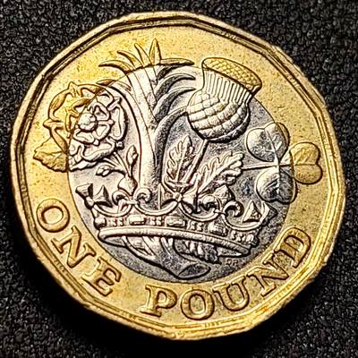 泉币菌-第151场-精品福利场 - 皇家玫瑰 英国1英镑 双色防伪币 女王钱币 23毫米8.7克 纪念币