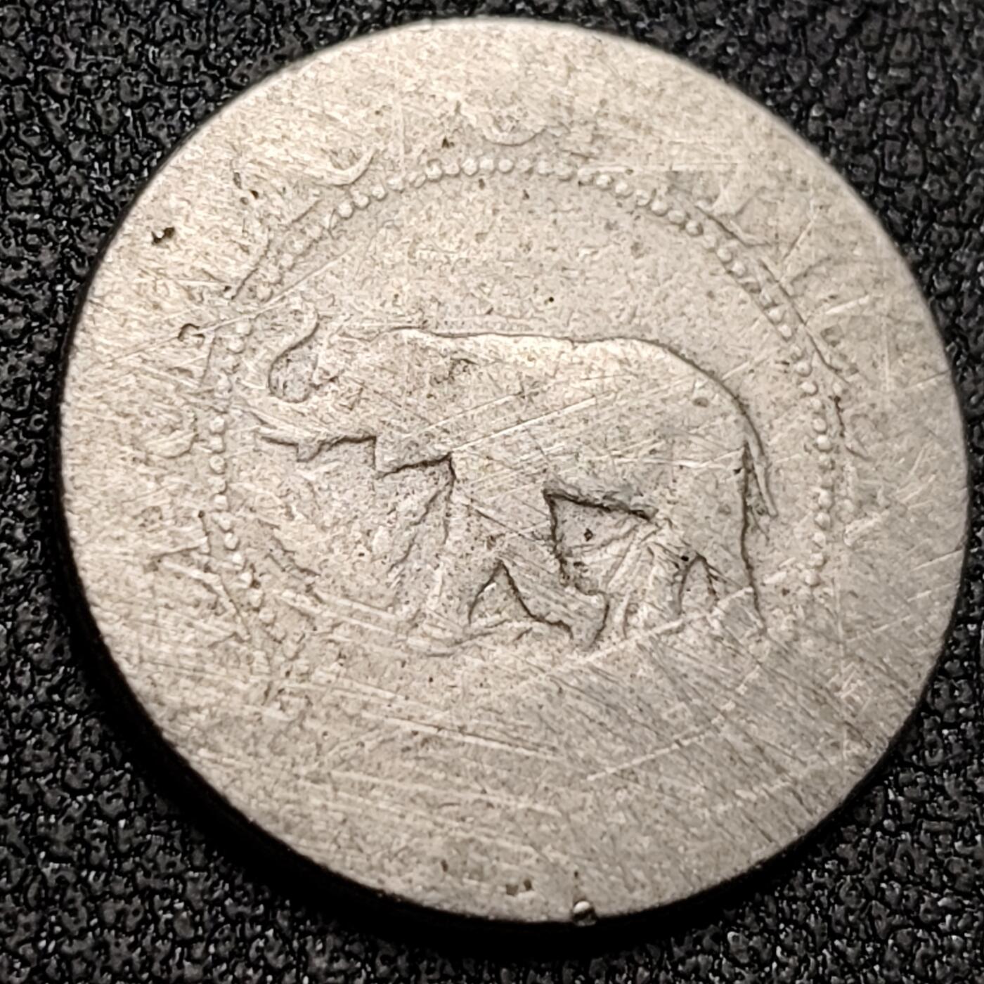 泉币菌-第151场-精品福利场 。