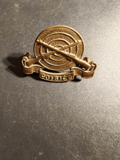 老王徽章第170期 - 爱尔兰国防军帽徽    二战时期