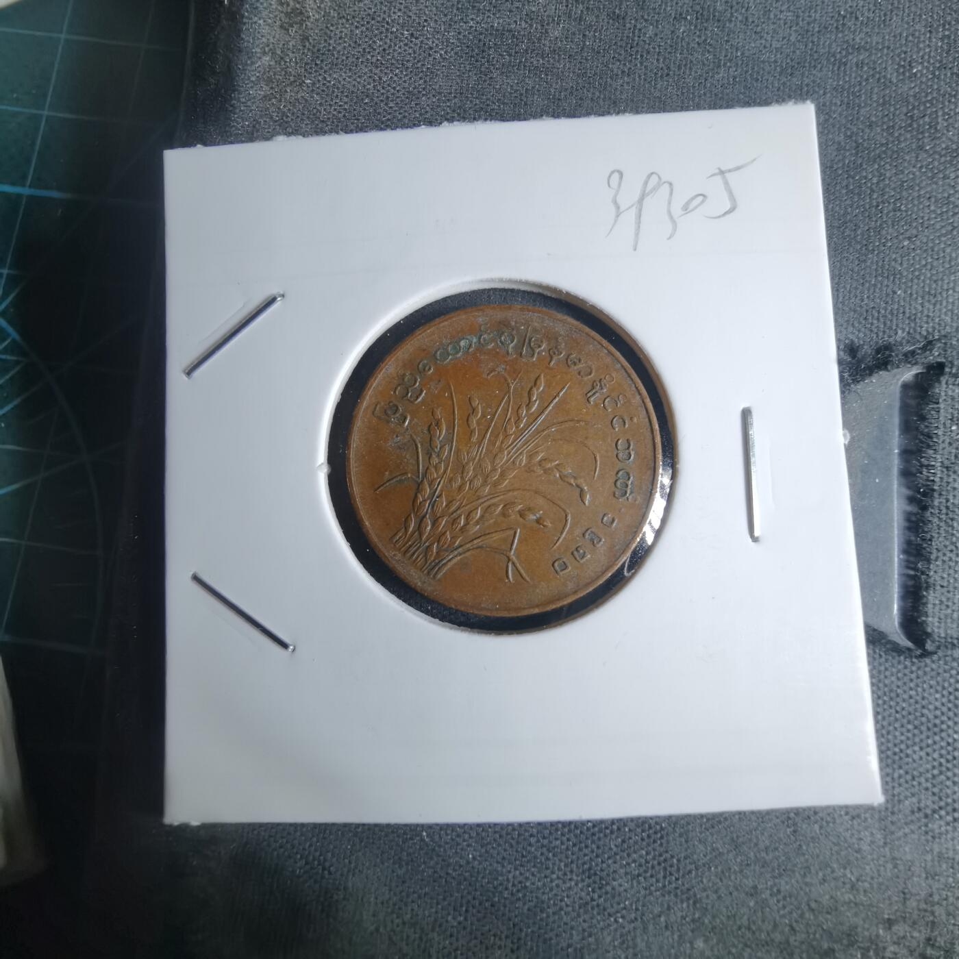 沼泽如烟--第939场 缅甸