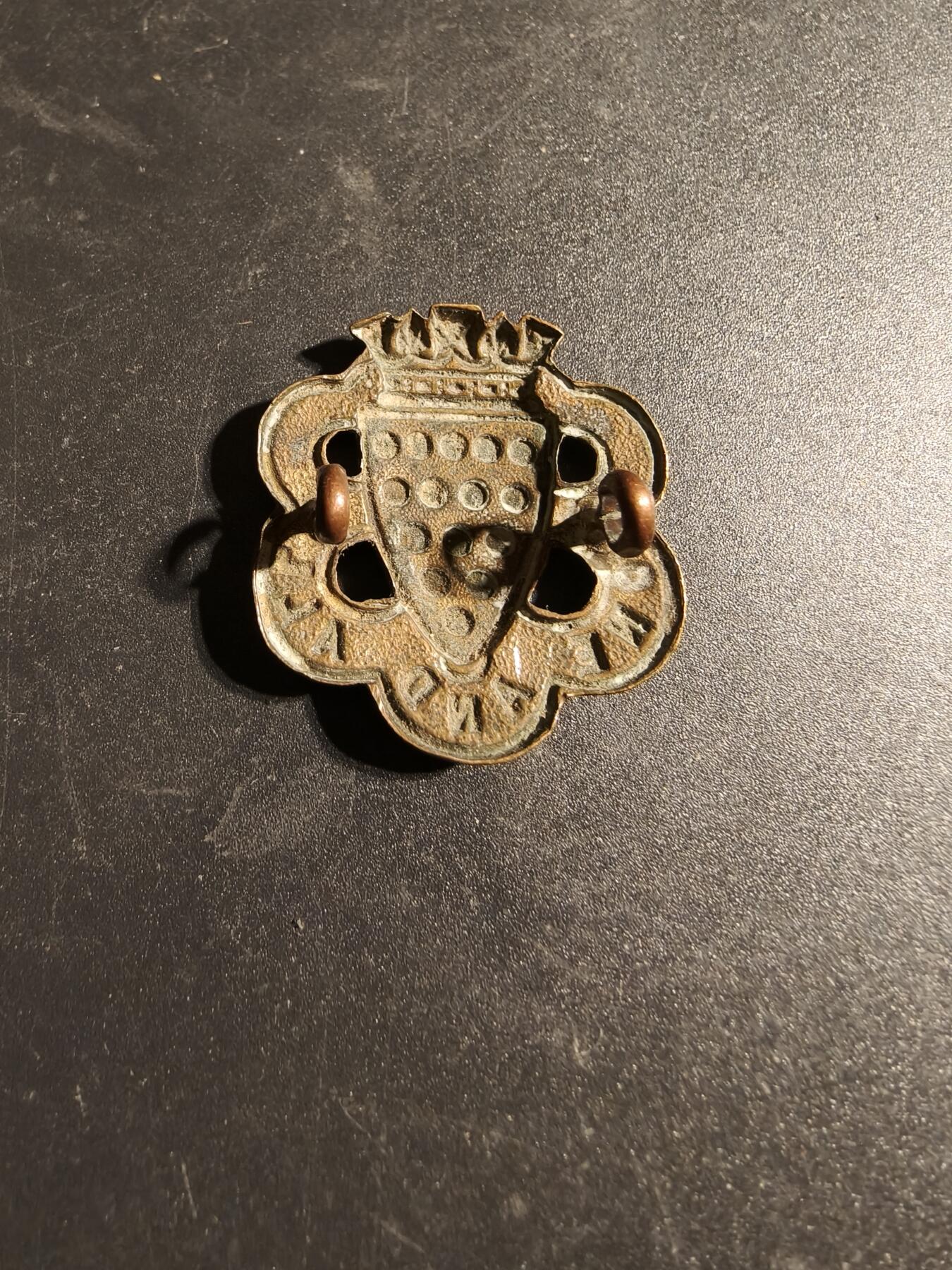 老王徽章第170期