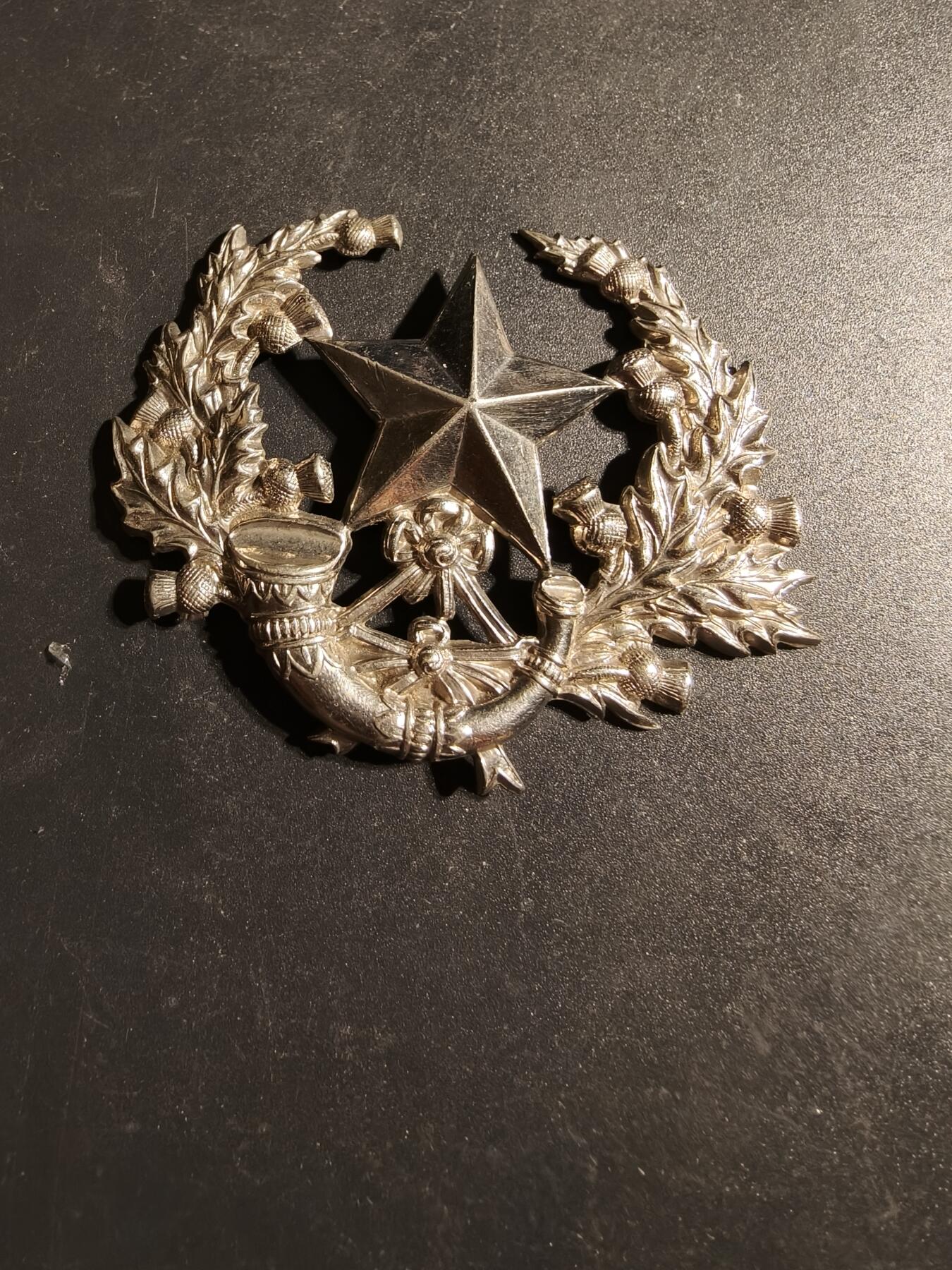 老王徽章第170期